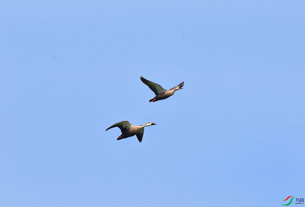 DSC_0821.jpg