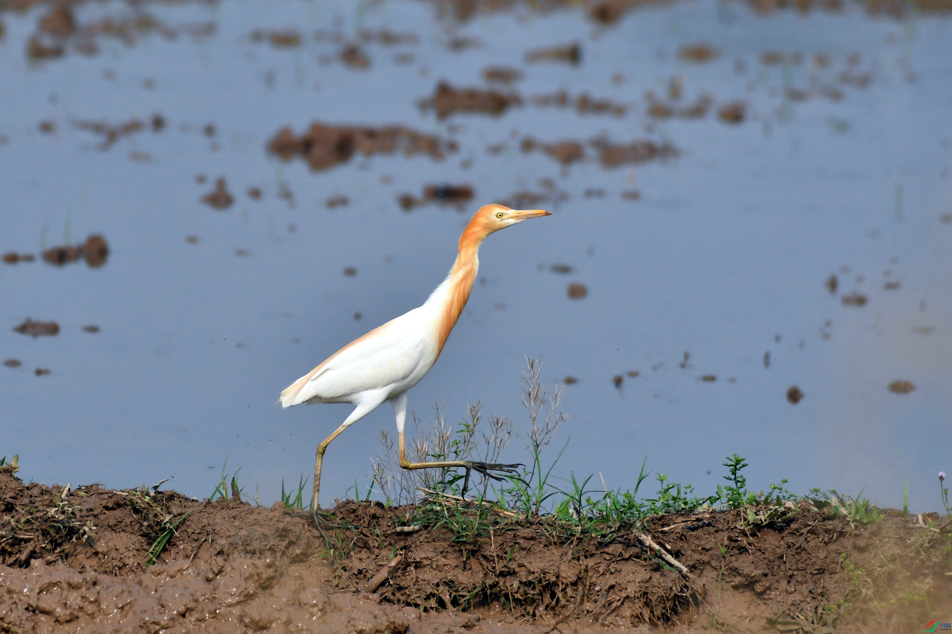 DSC_0881.JPG