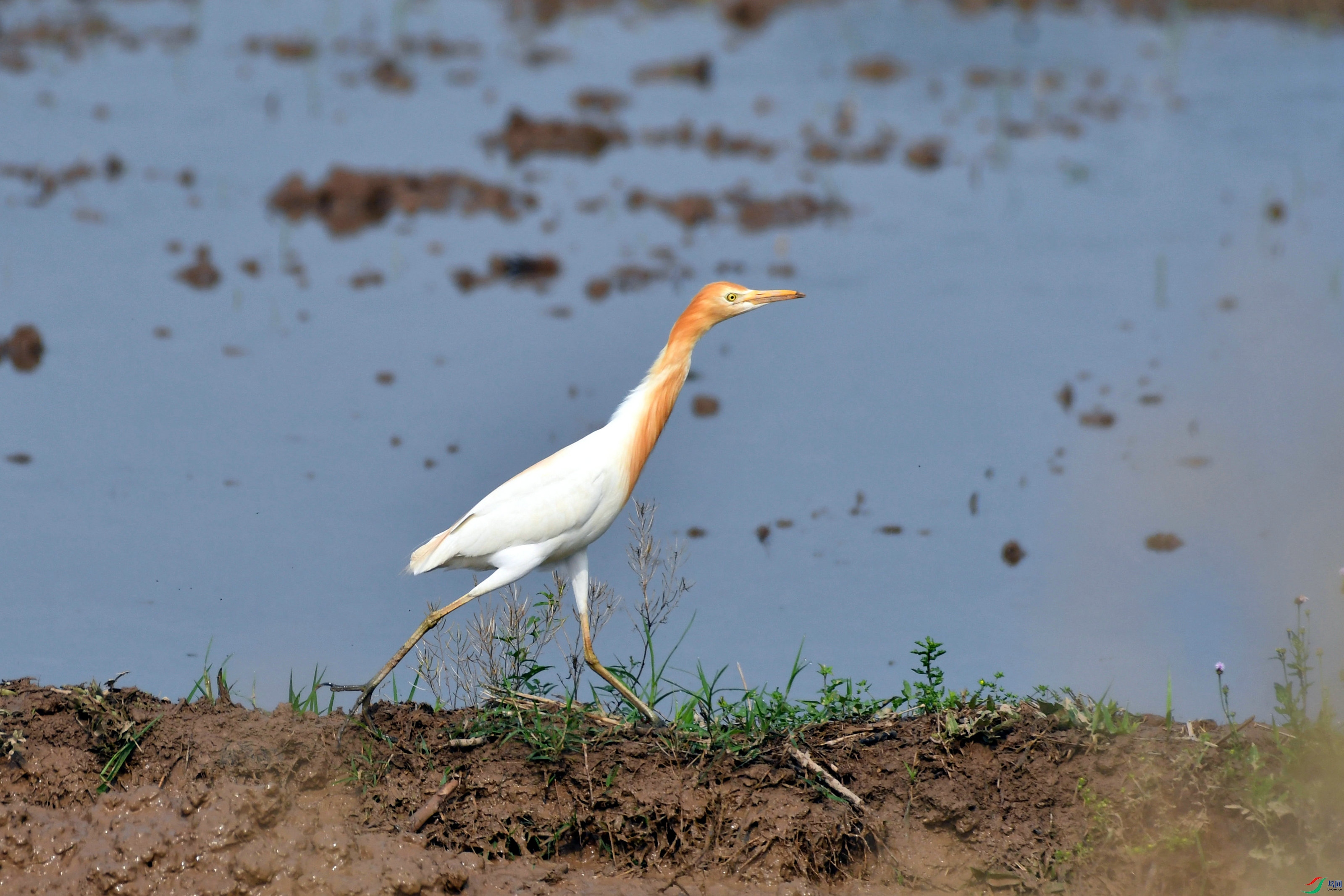DSC_0882.JPG