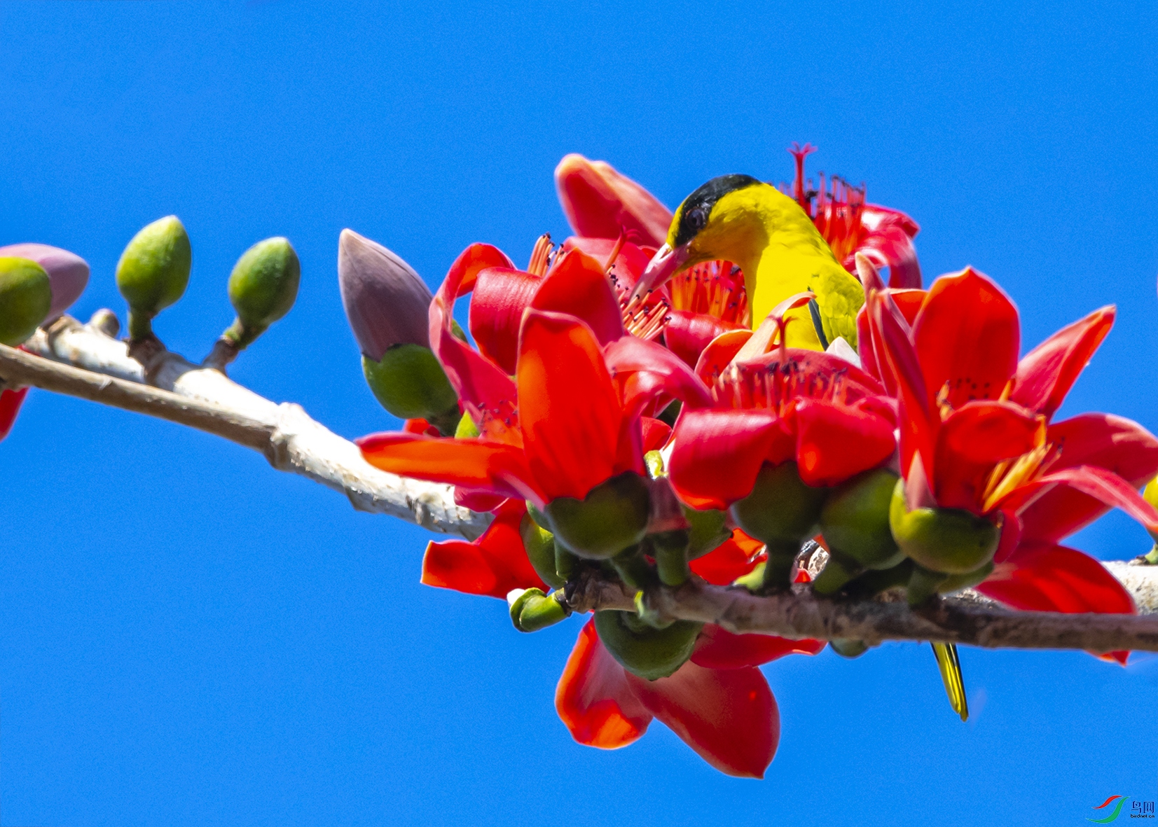 0405 ����.jpg