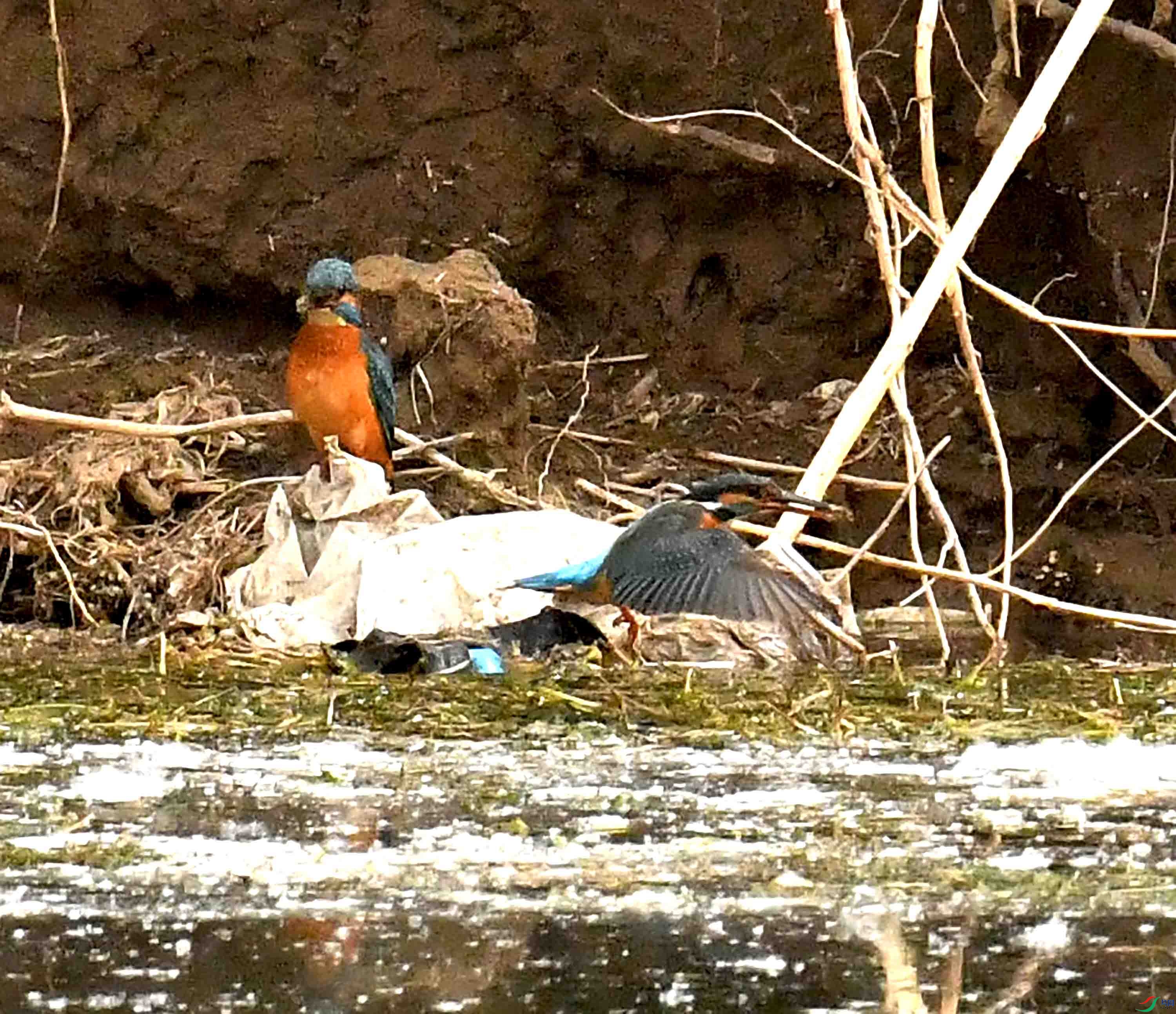 DSC_5296.JPG
