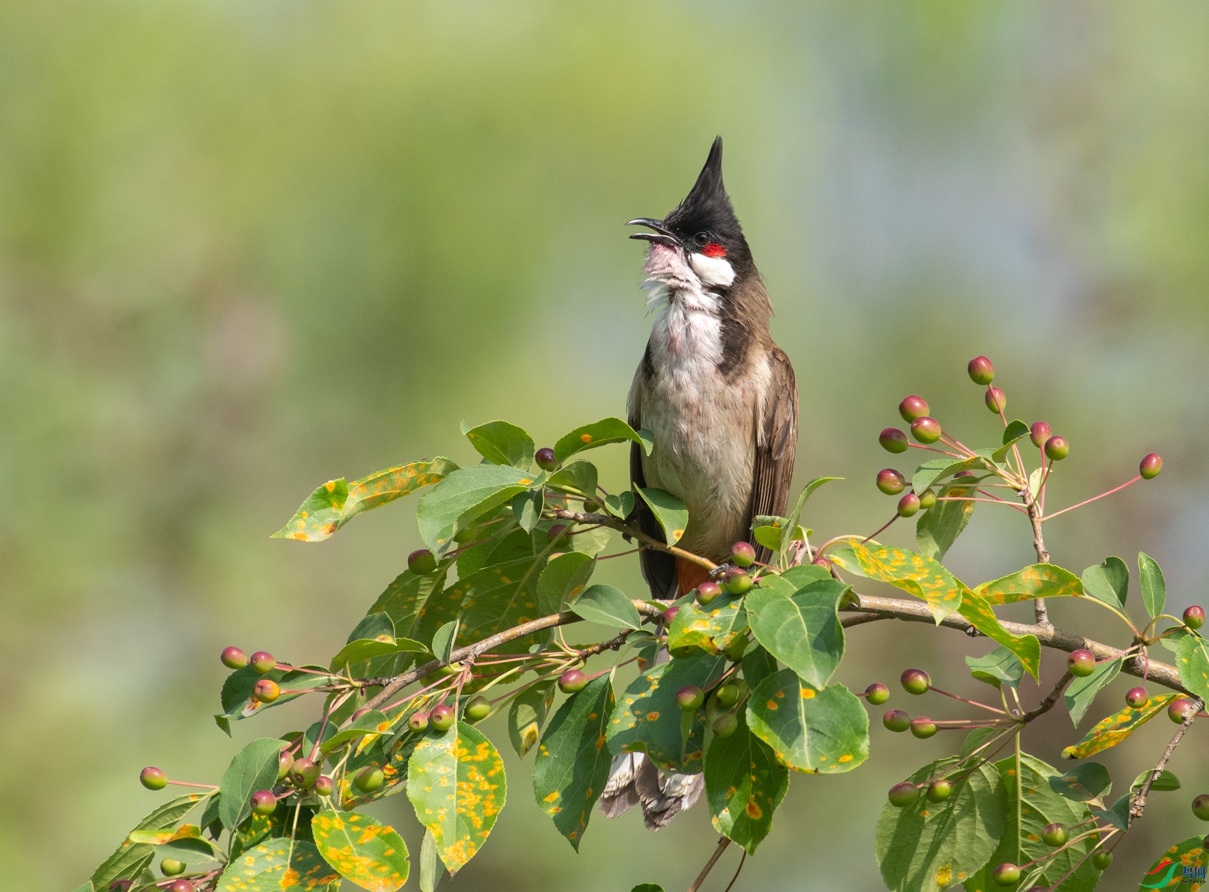 DSC_5652.jpg