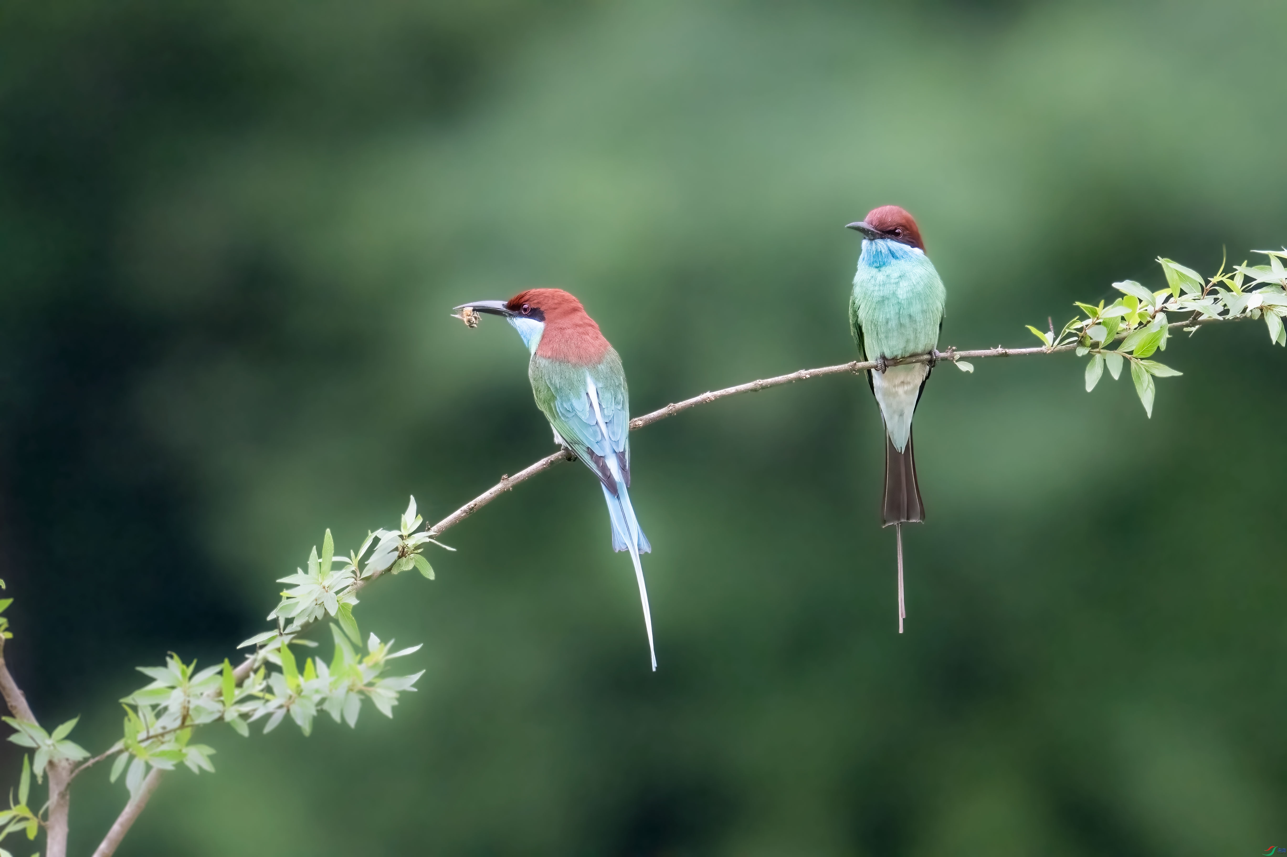 DSC_6424.jpg