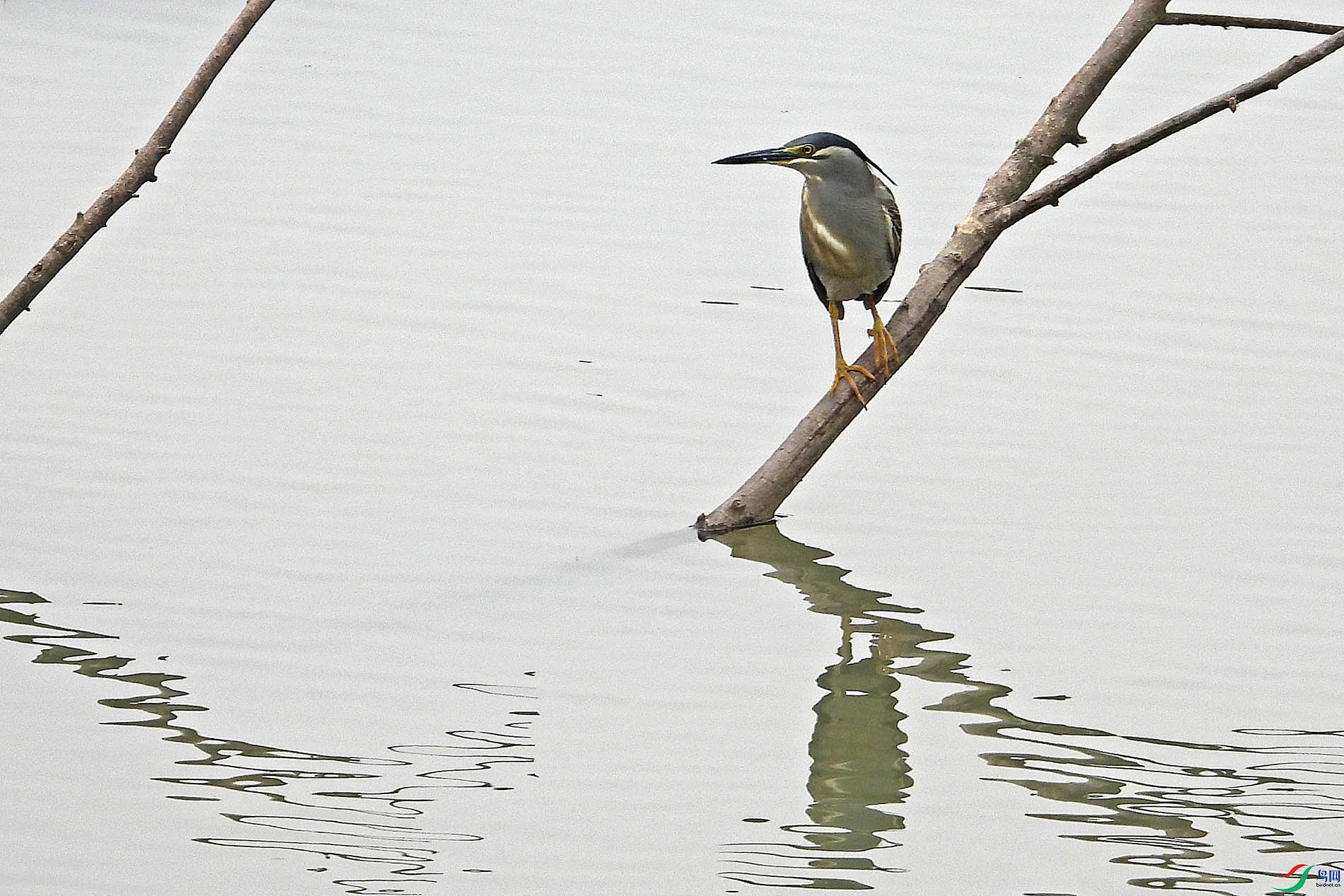 DSCN6724.jpg