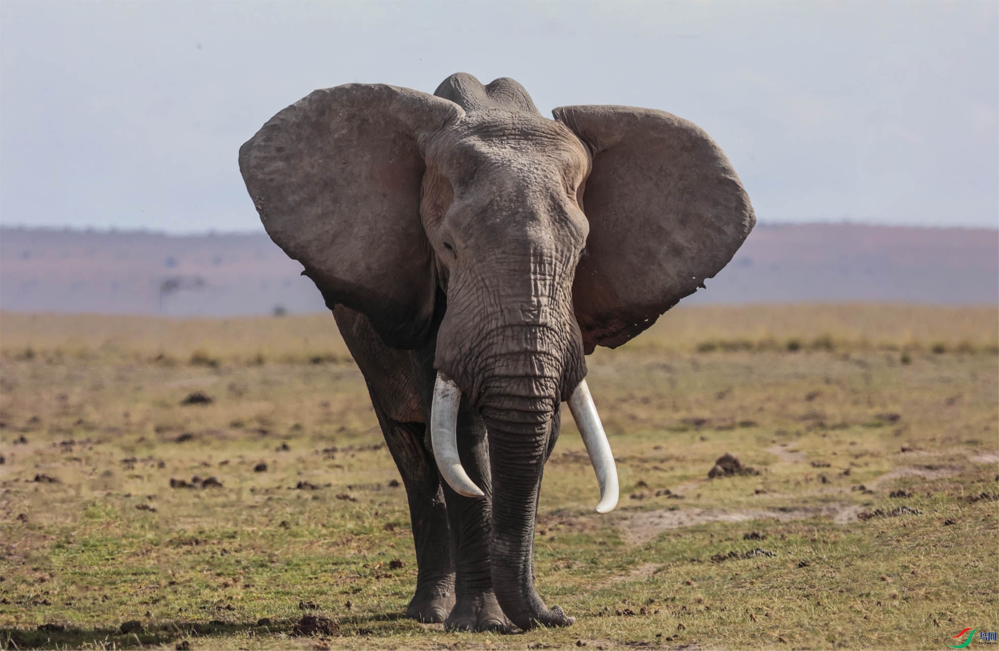 ������Ķ�������ص� ����.jpg