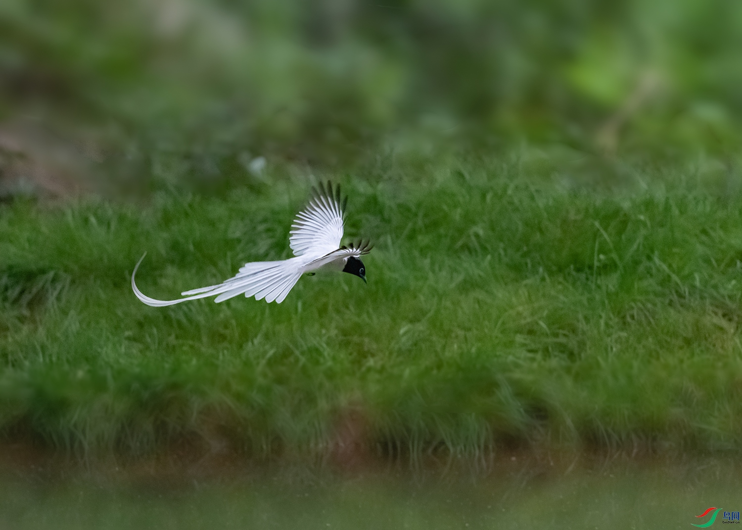 DSC_2150-3.jpg