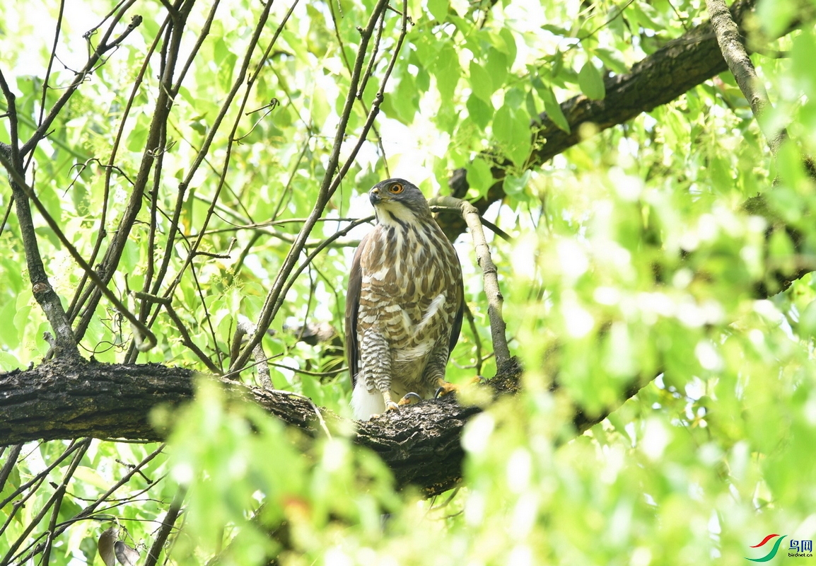 DSC_2905.jpg