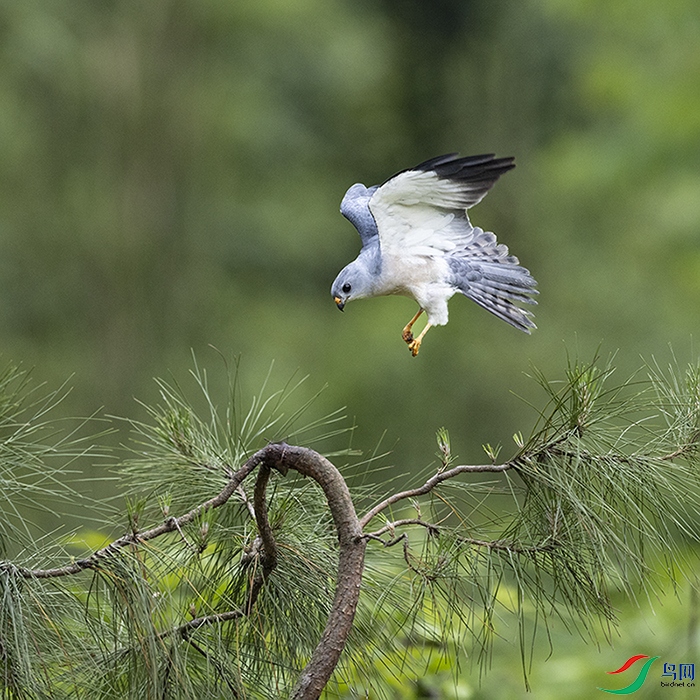 2F5A0245 ����.psd22.jpg