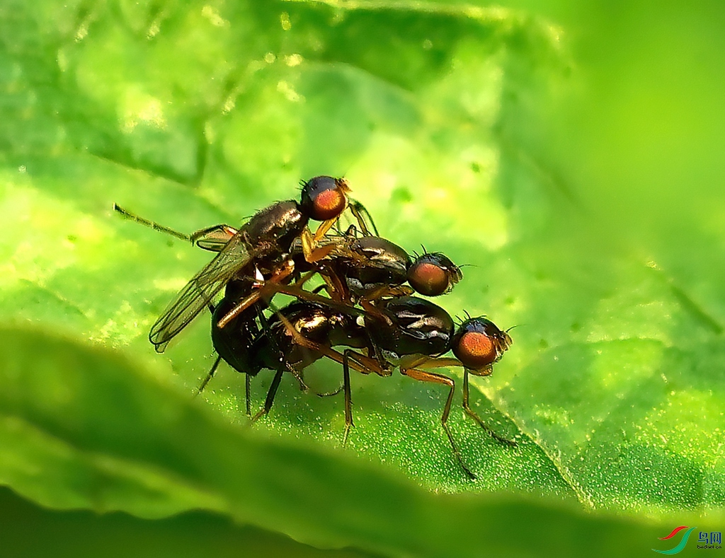 DSC07824_dh ����.jpg