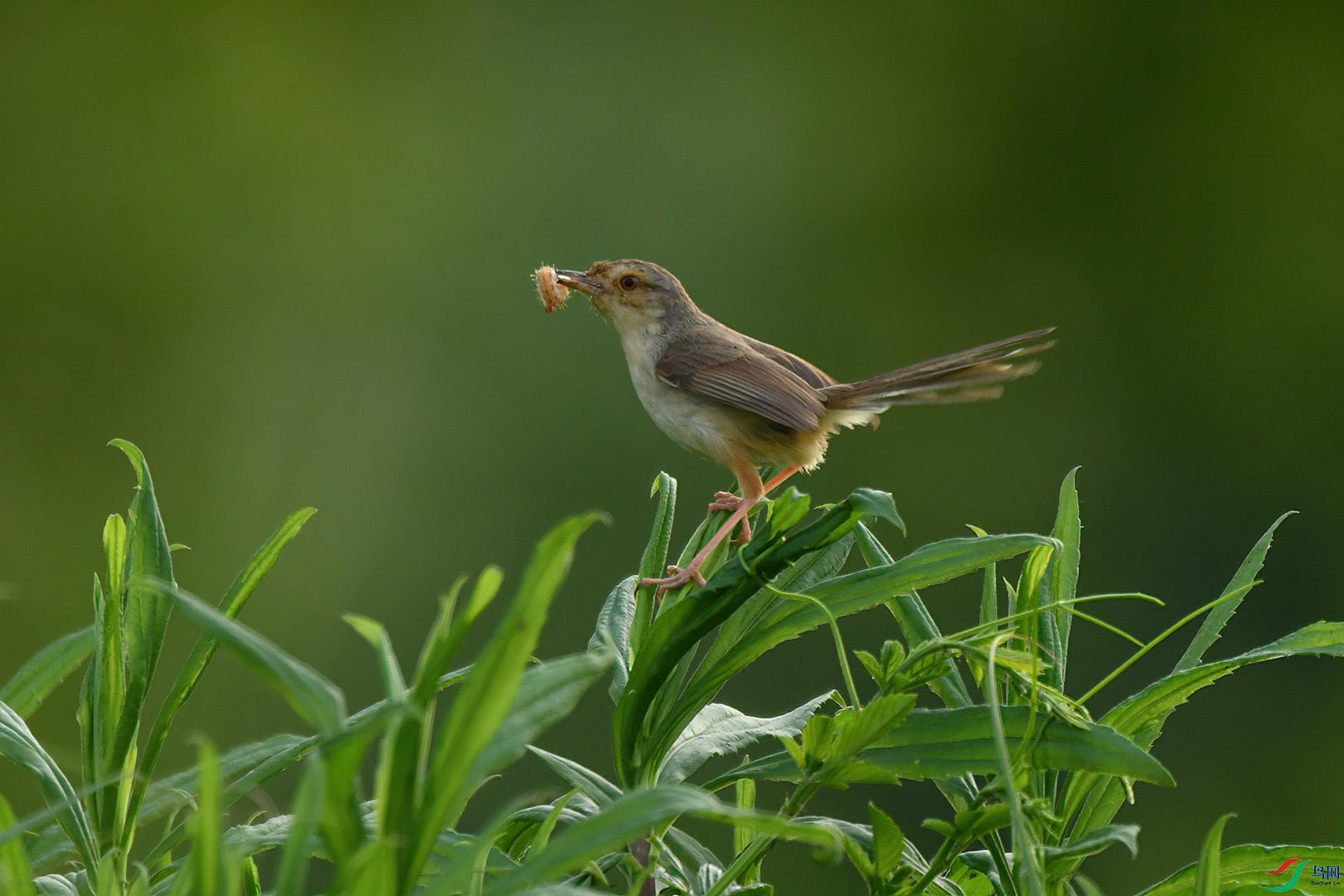 DSC_0713.jpg