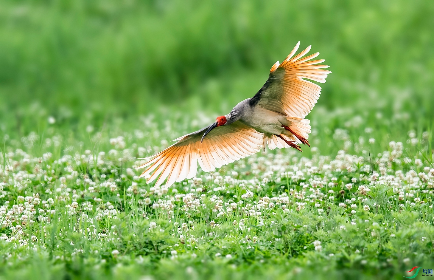 DSC_6996 ����_����.jpg