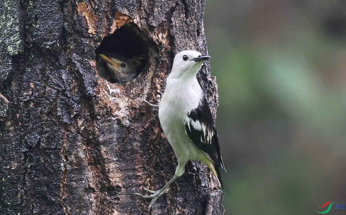 1P3A7873.JPG