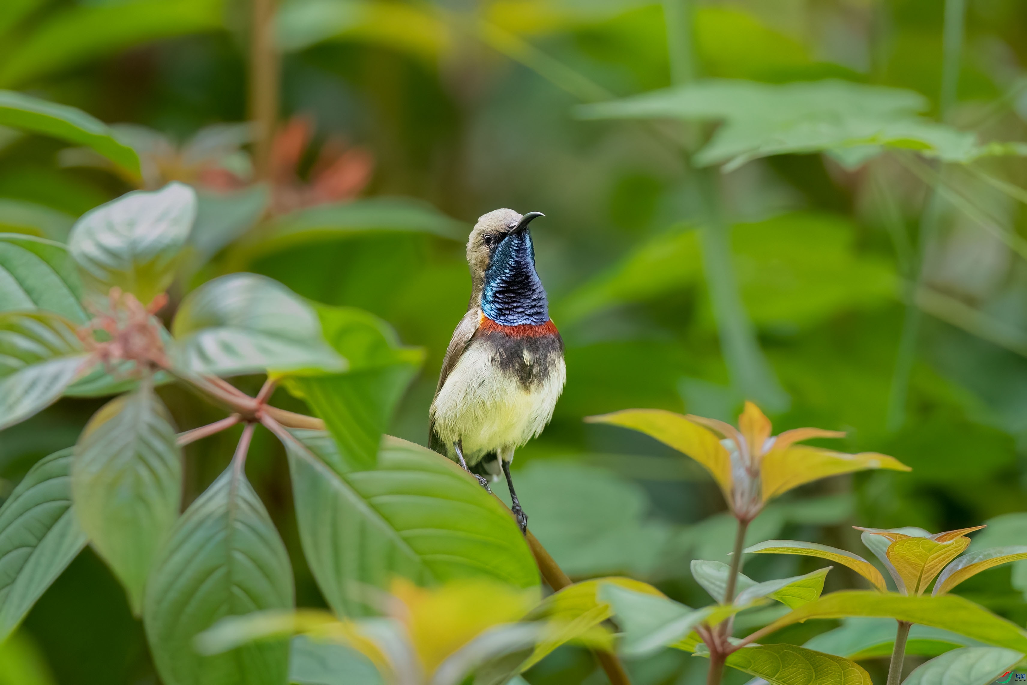 �Ƹ�������