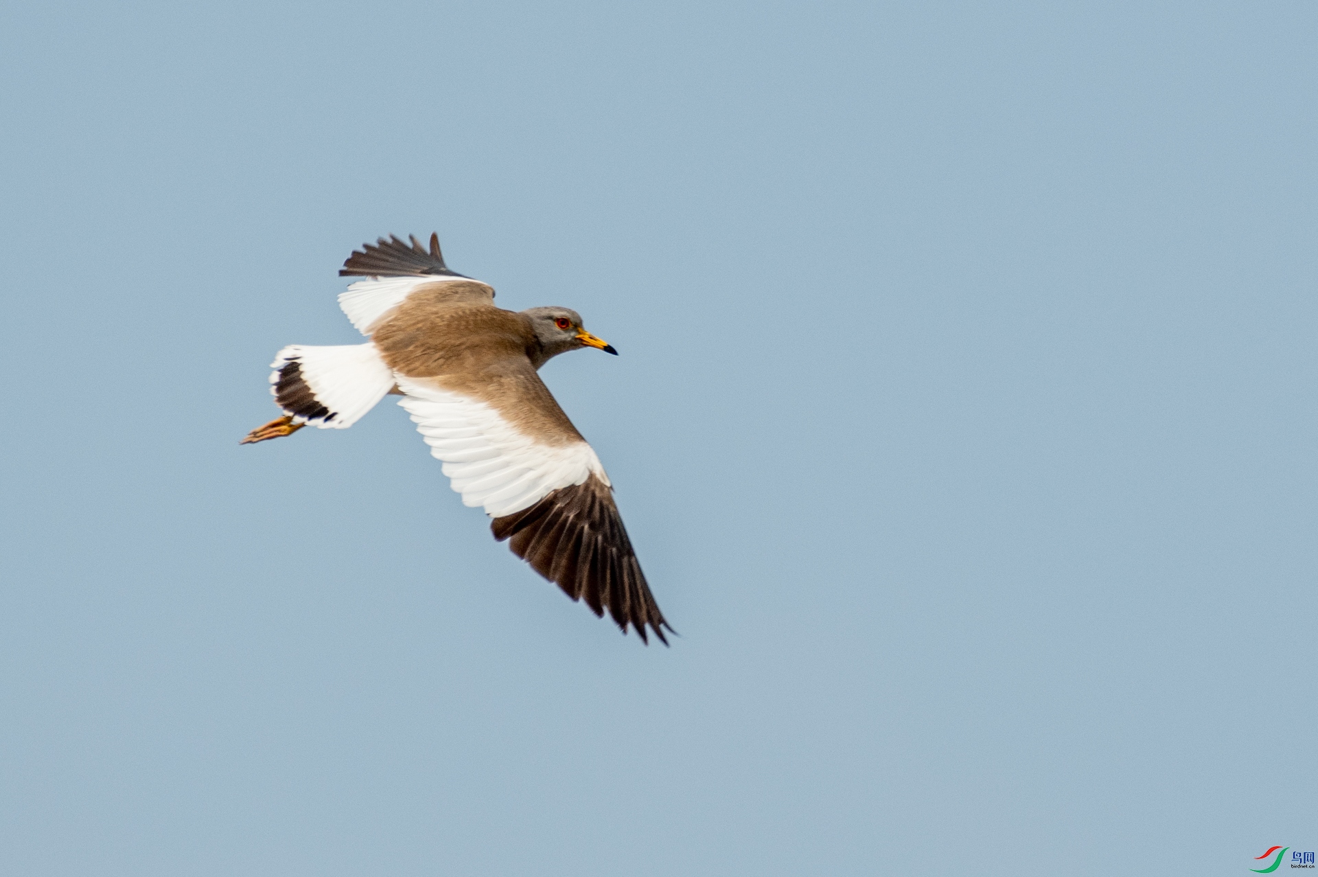 DSC_5409.jpg
