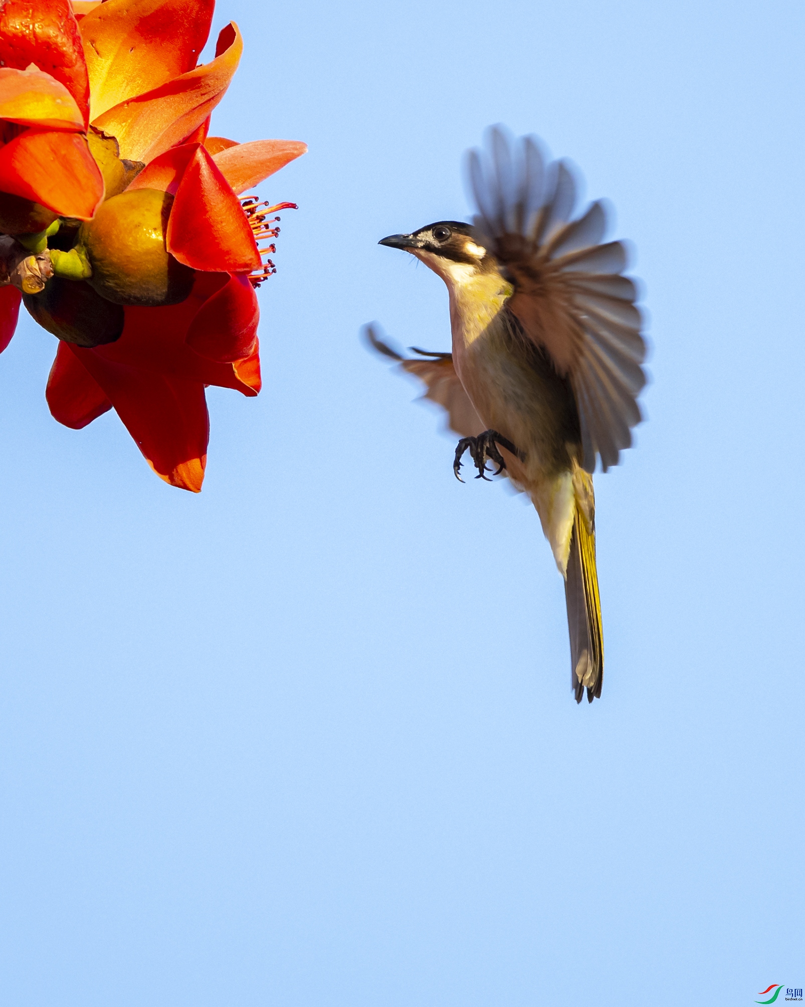 2221 ����.jpg