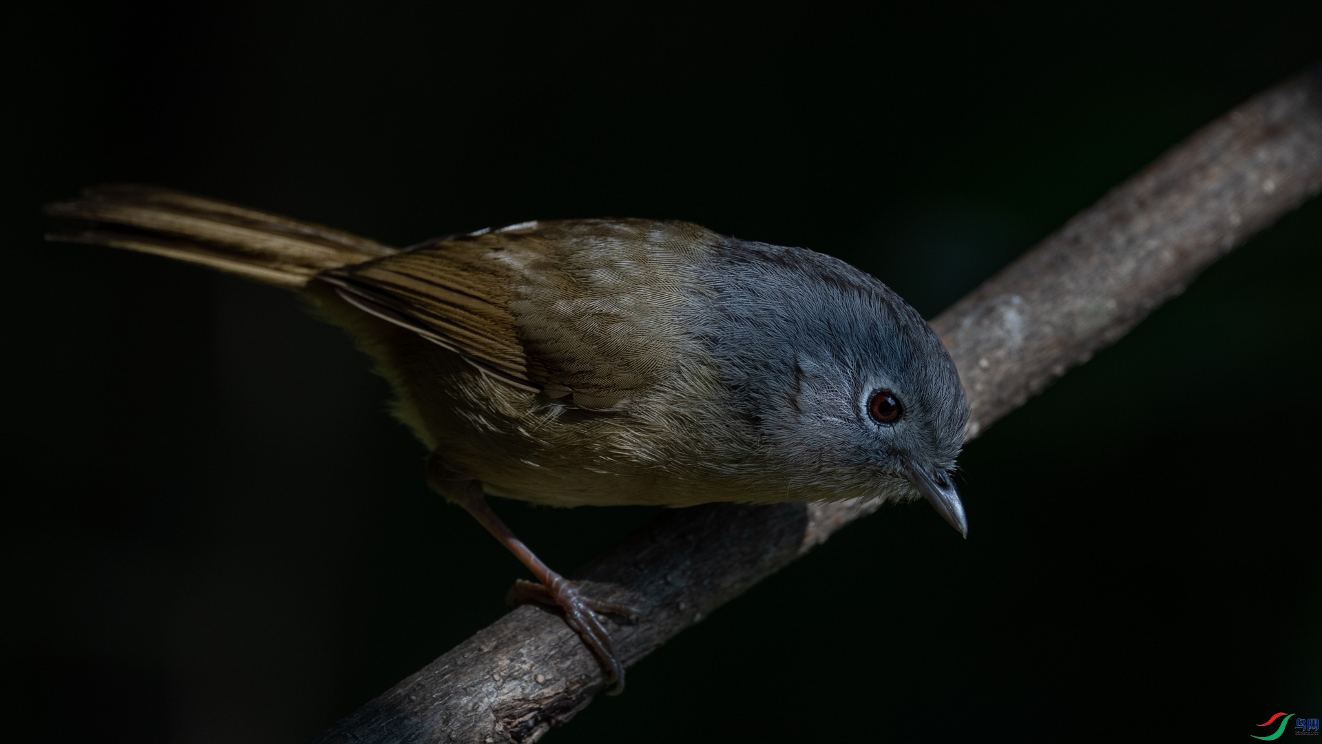 DSC_3319-3.jpg