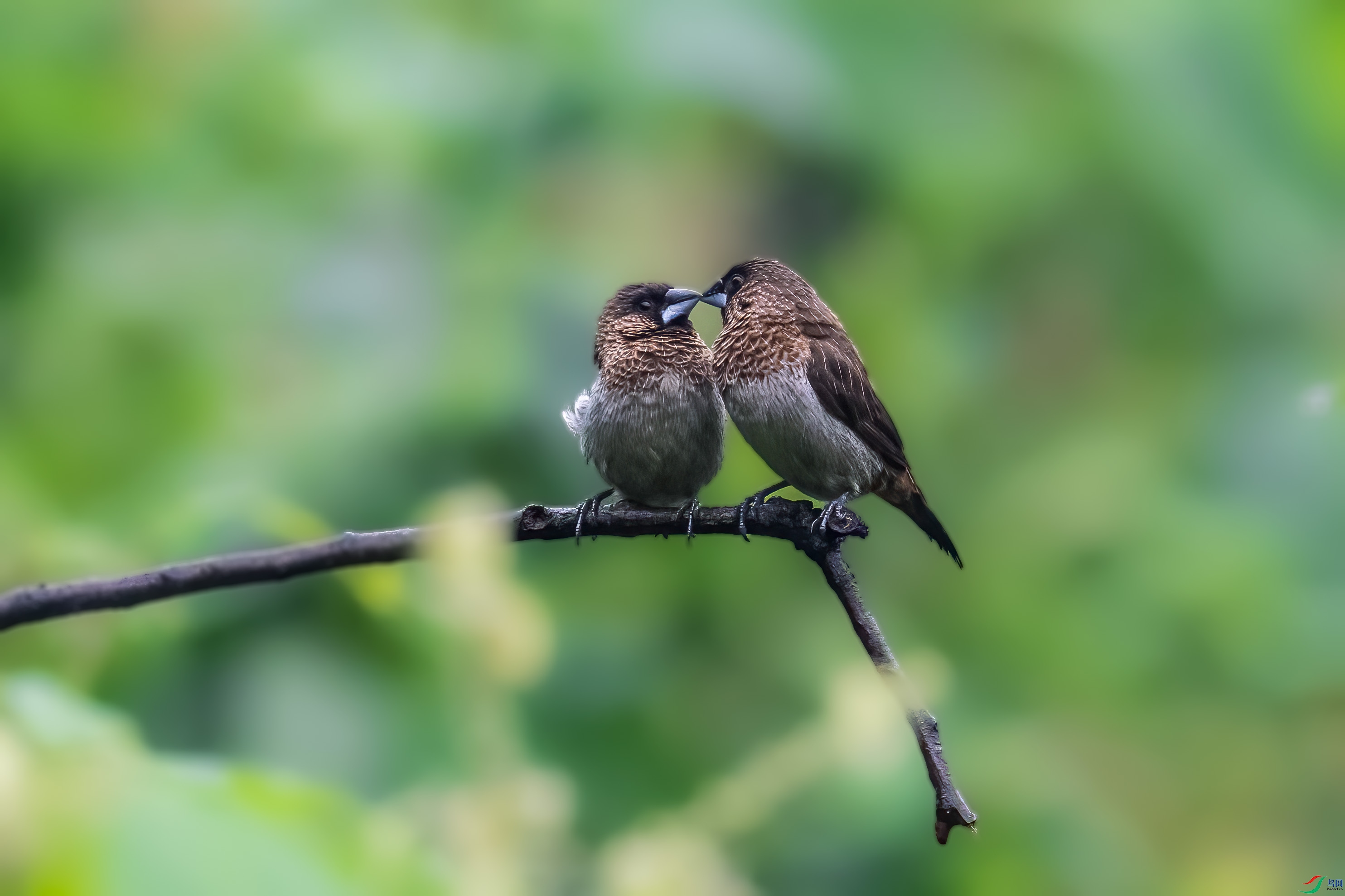 DSC_9077.jpg