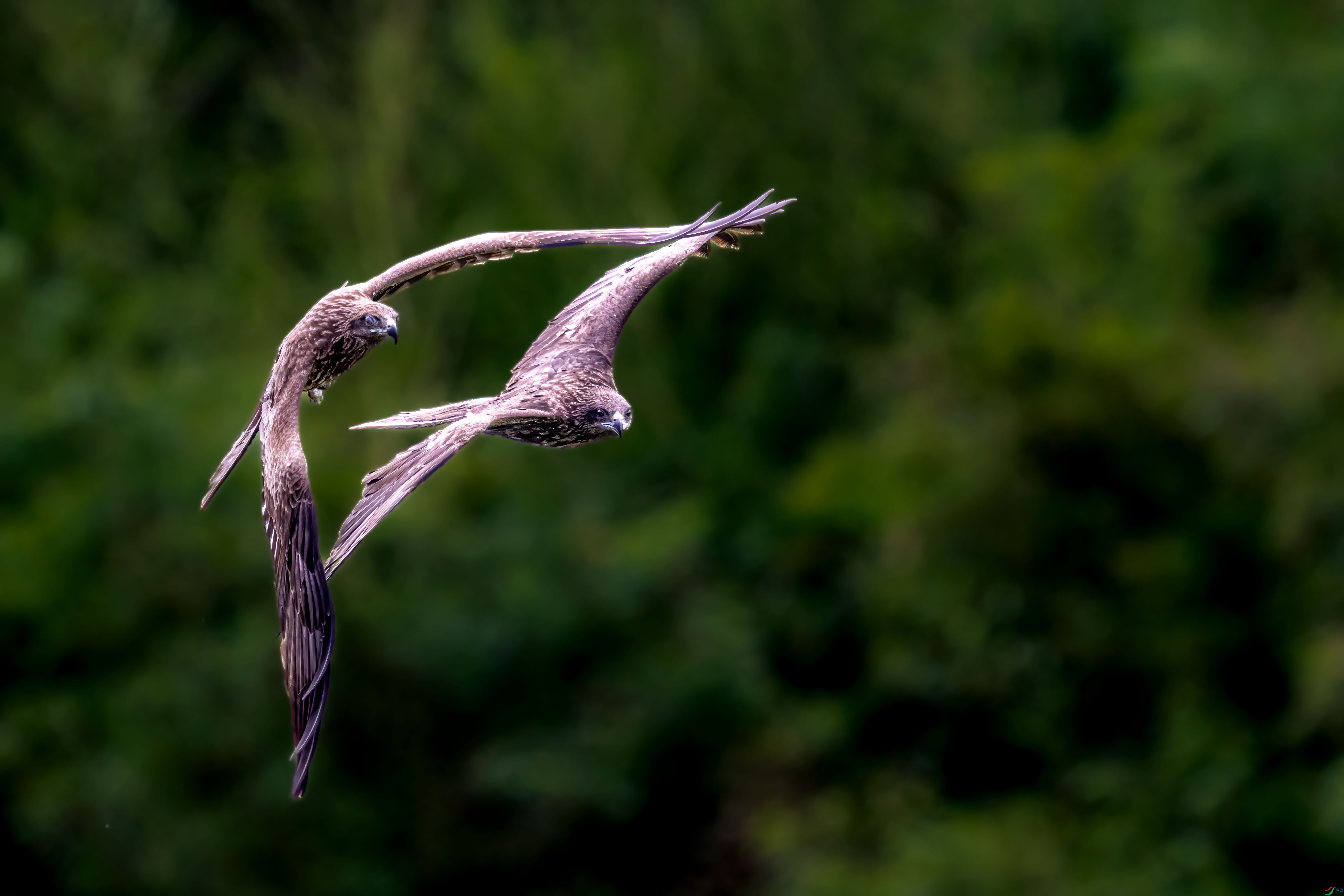 DSC_7448.jpg