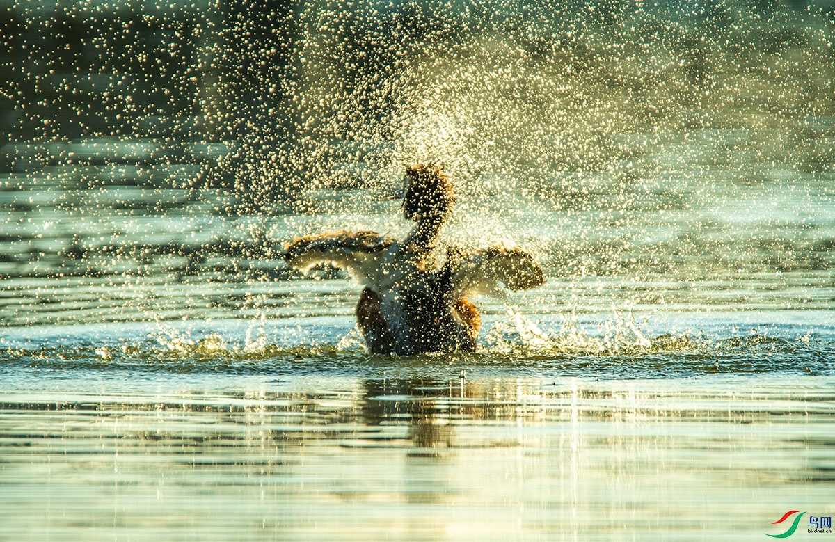 230530 (30).jpg