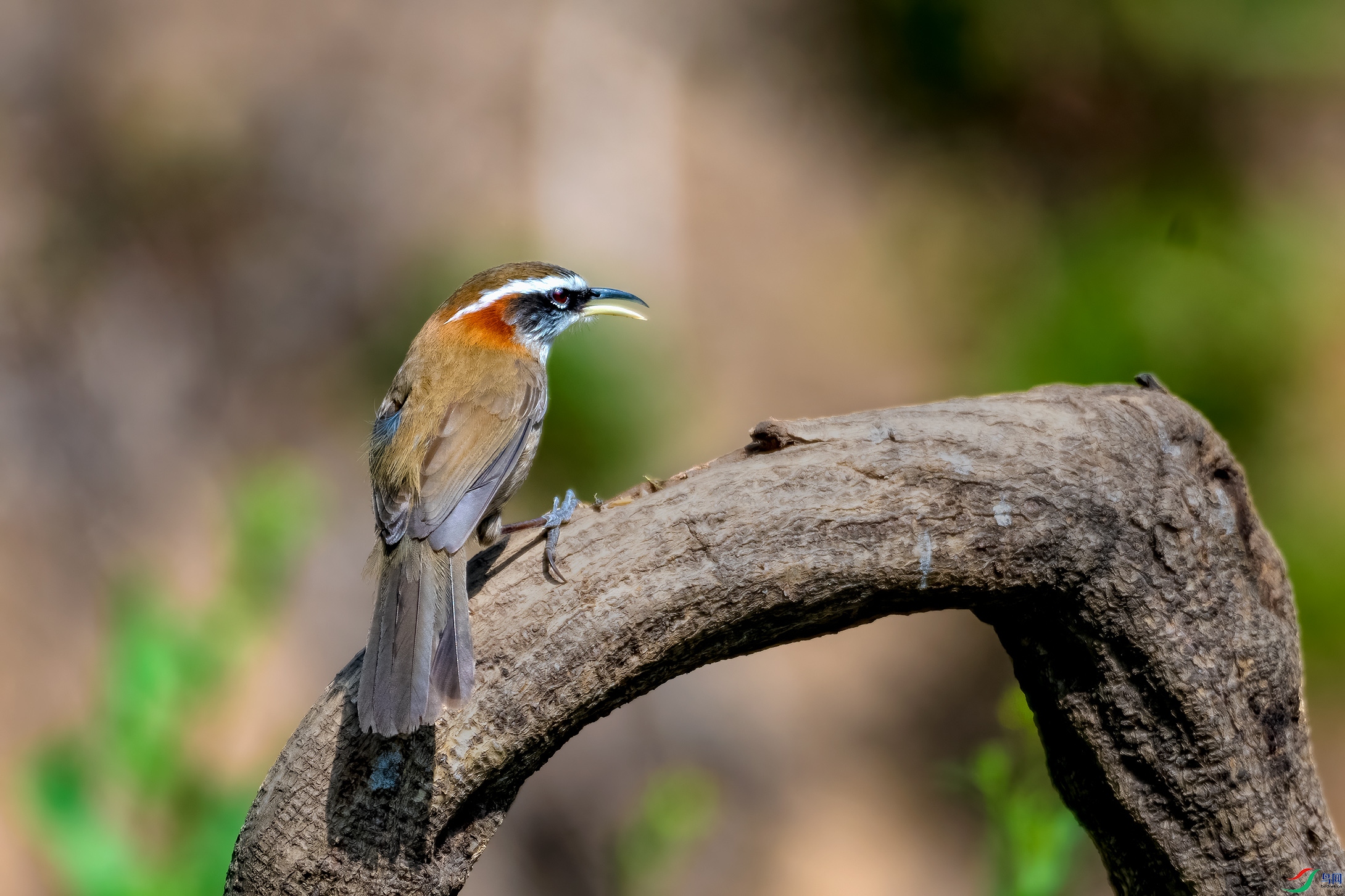 _DSC9785.jpg