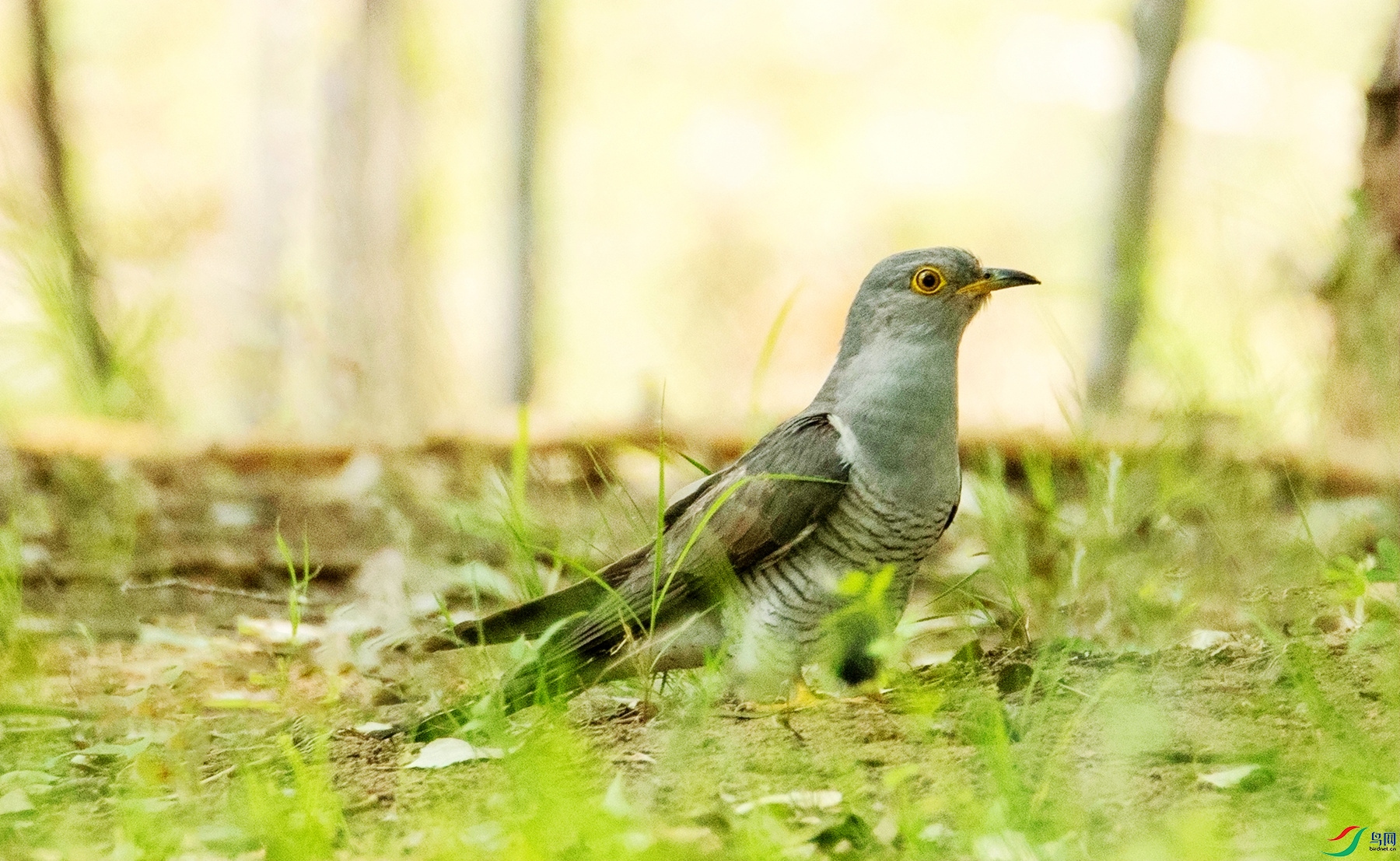 �������_���� - ����_����_����.jpg