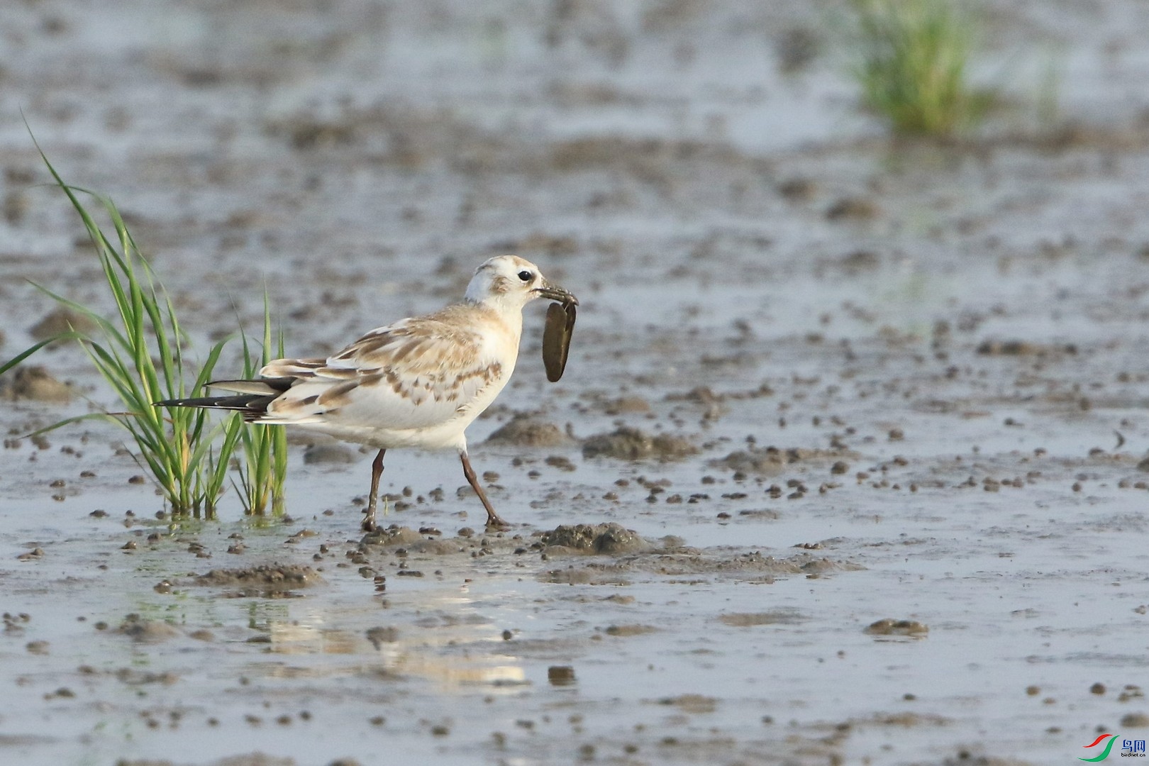 ʲôŸ������ 0F4A3928.jpg