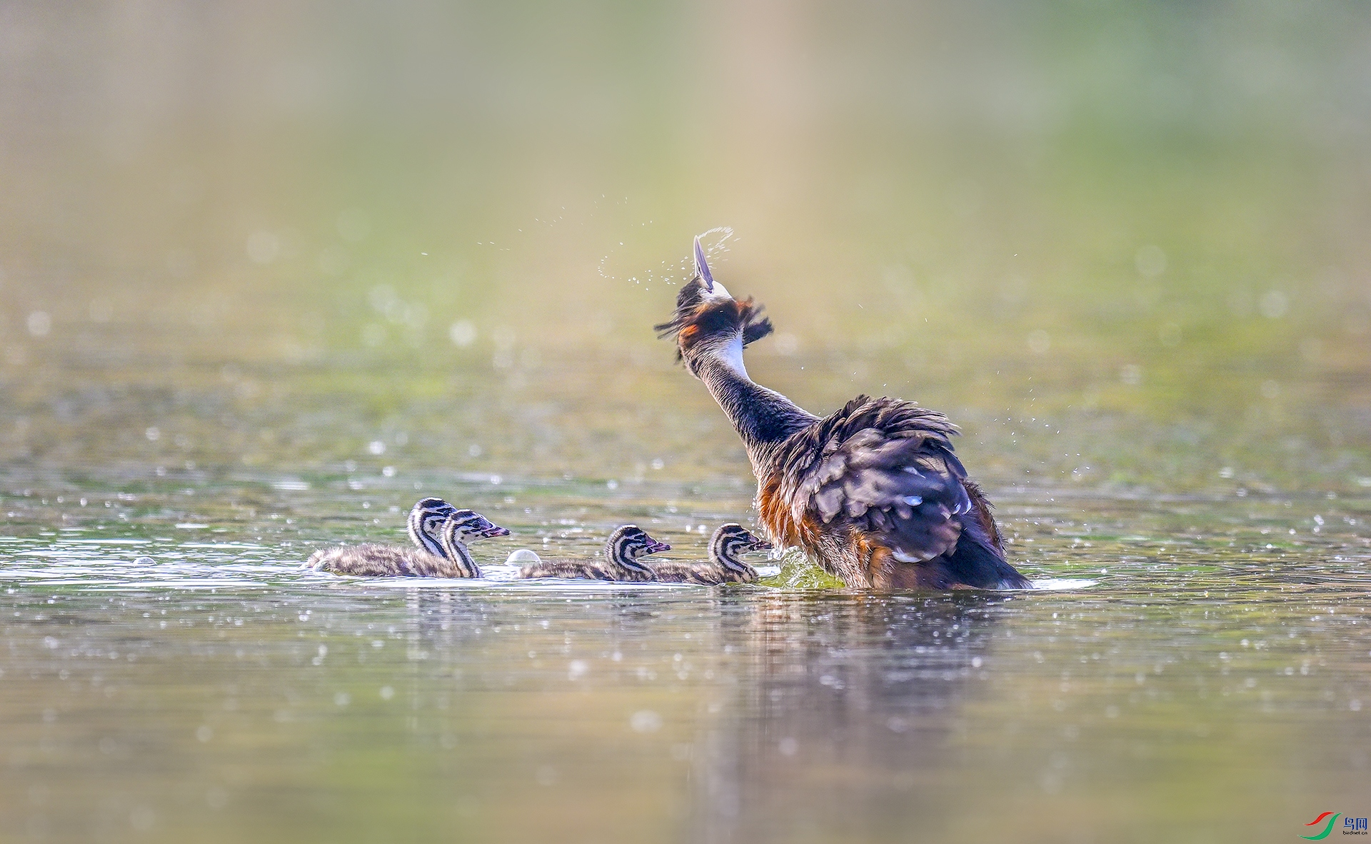 ��Ʒ��������ʱ�� ������ ��ͷ�G�f.jpg