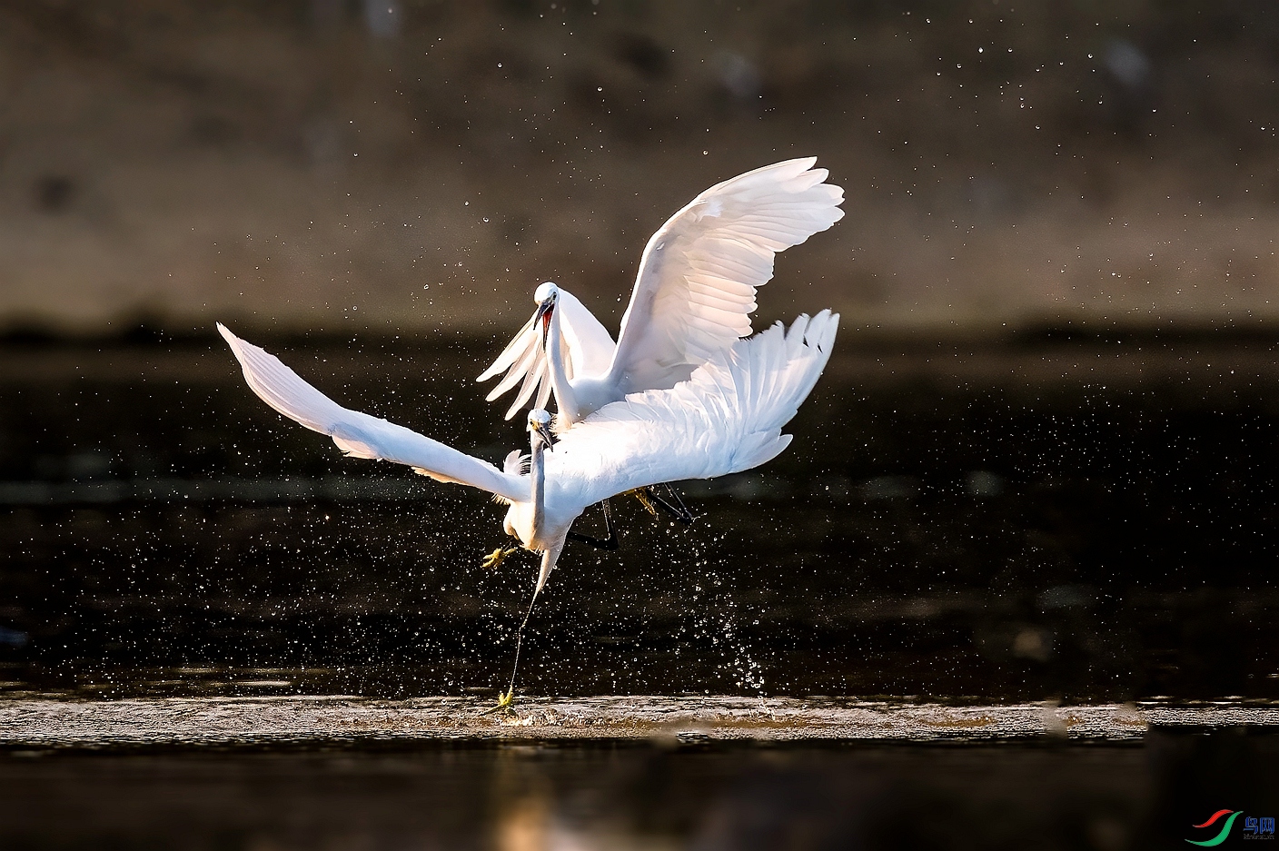 DSC_0283 ����_����.jpg