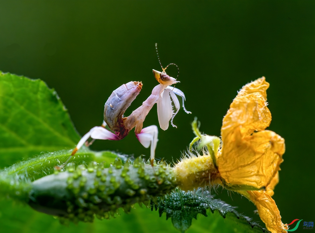 DSC05696-ARW_DxO_DeepPRIME ����.jpg