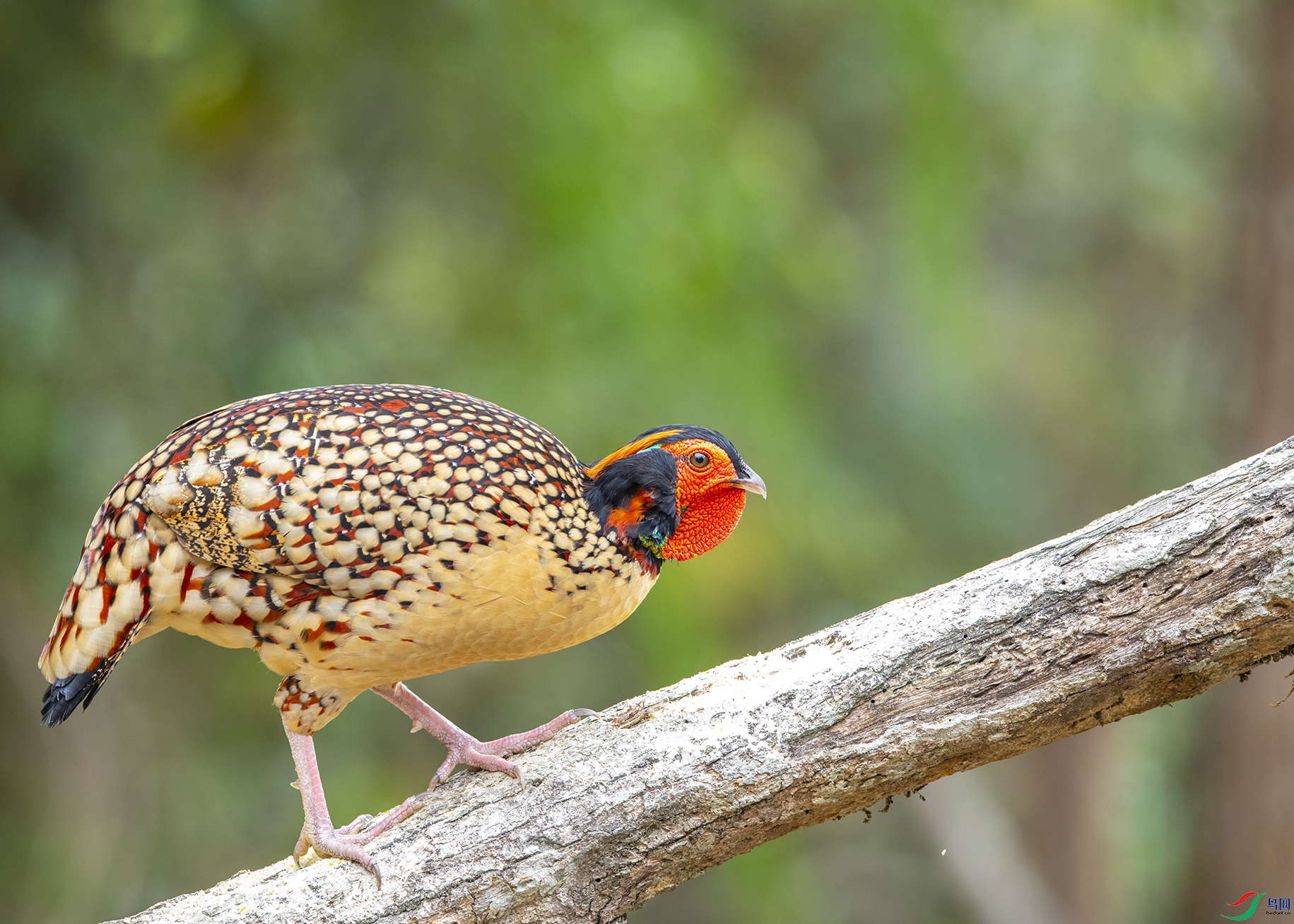 4479 ����.jpg