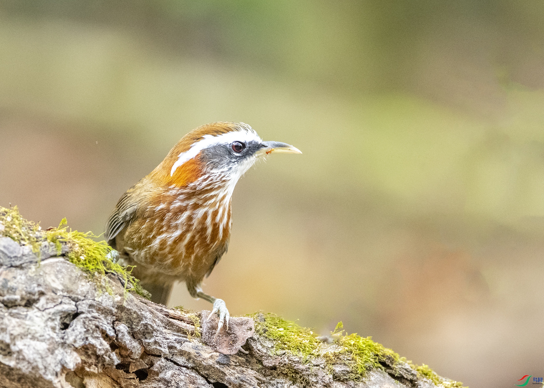 5685 ����.jpg