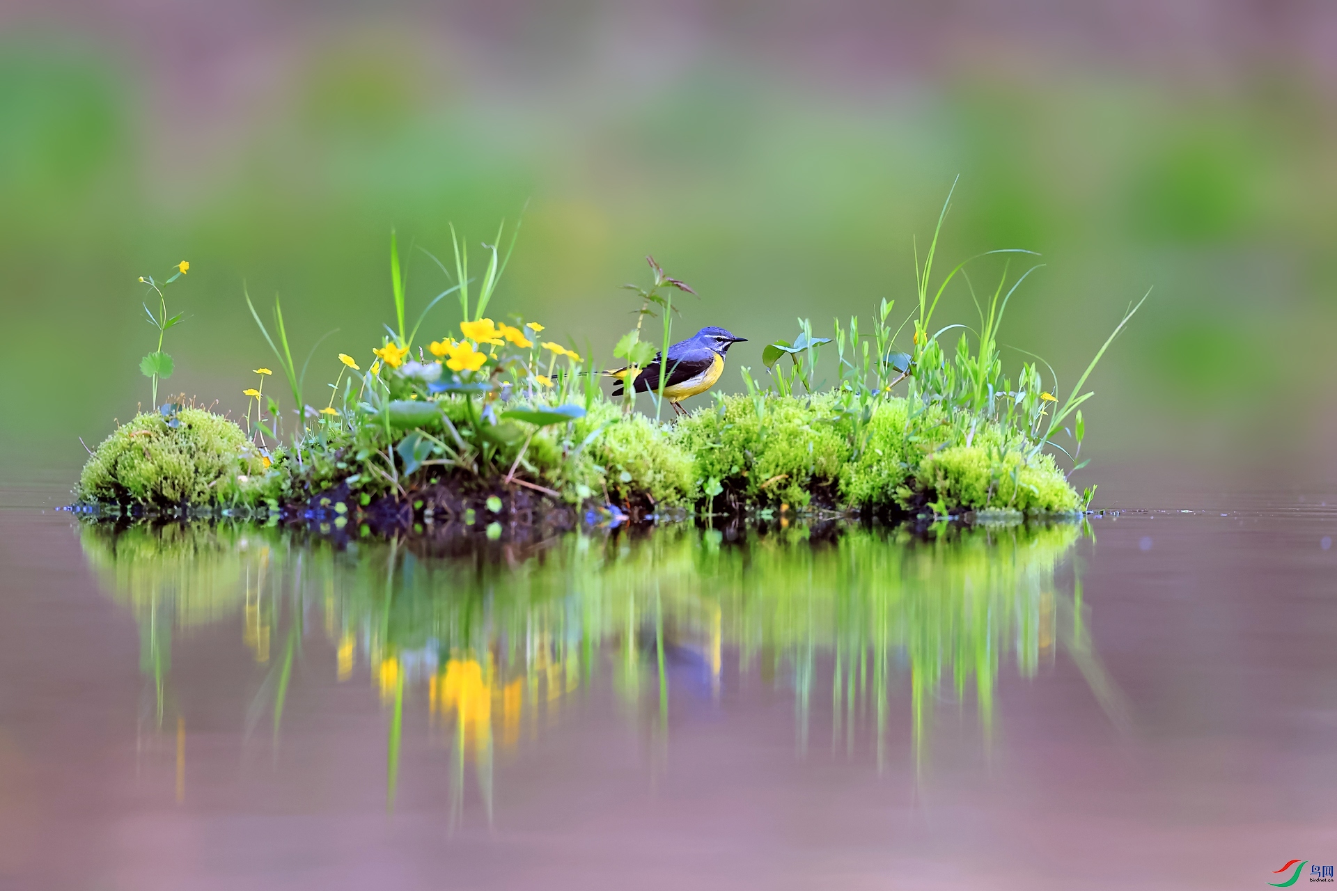 ���n�_003-1.jpg