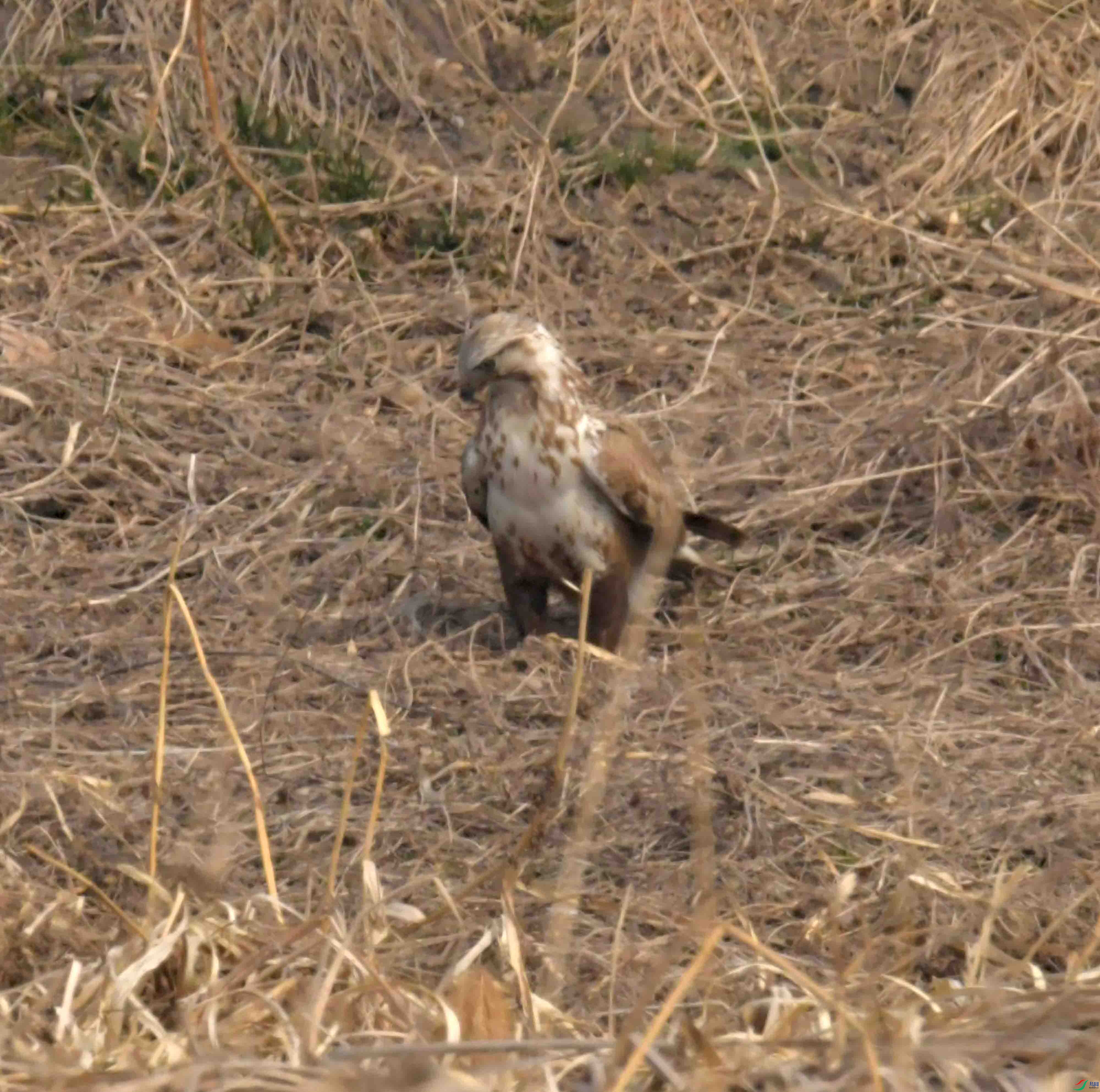 DSC_2207.JPG