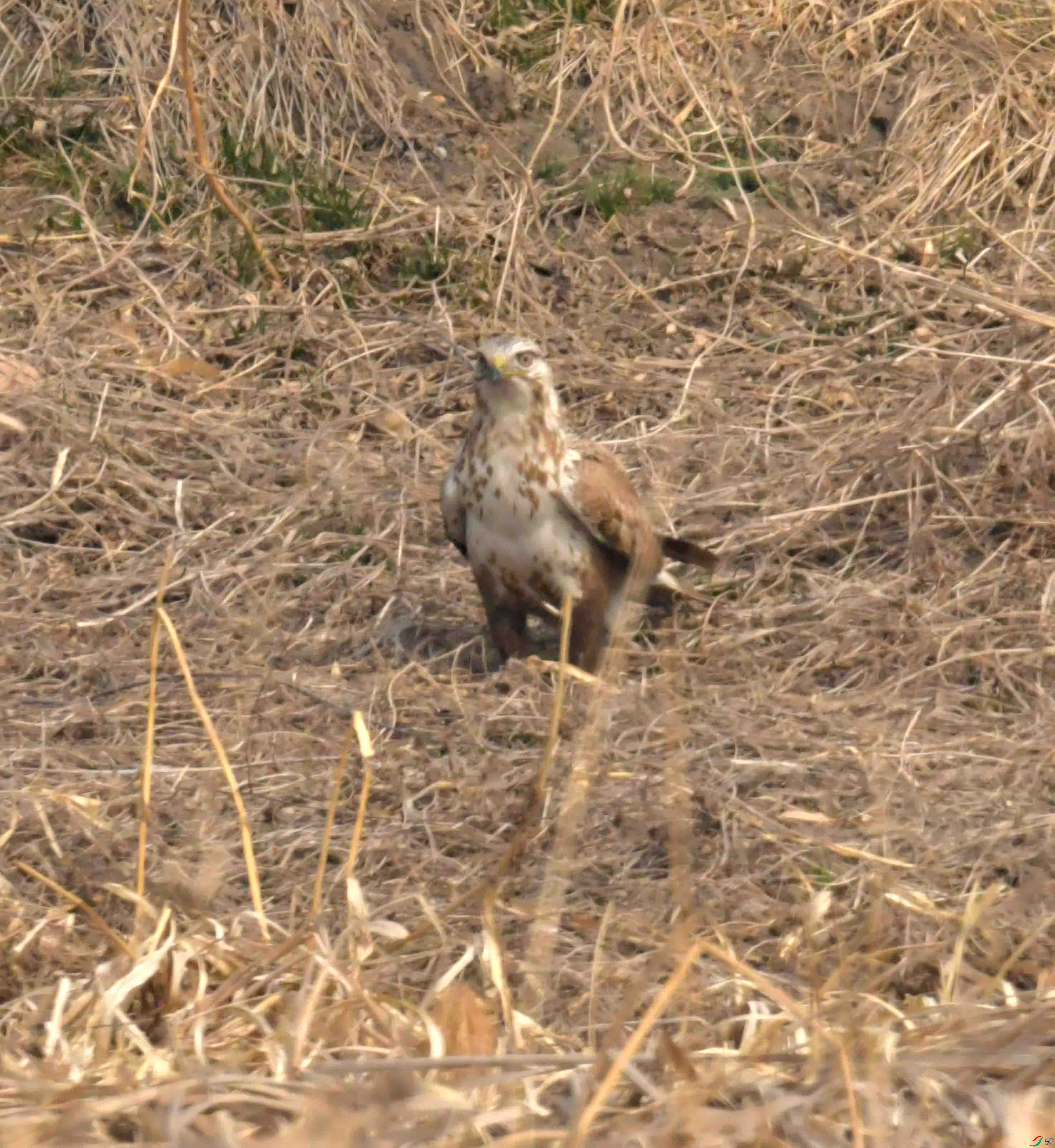 DSC_2209.JPG