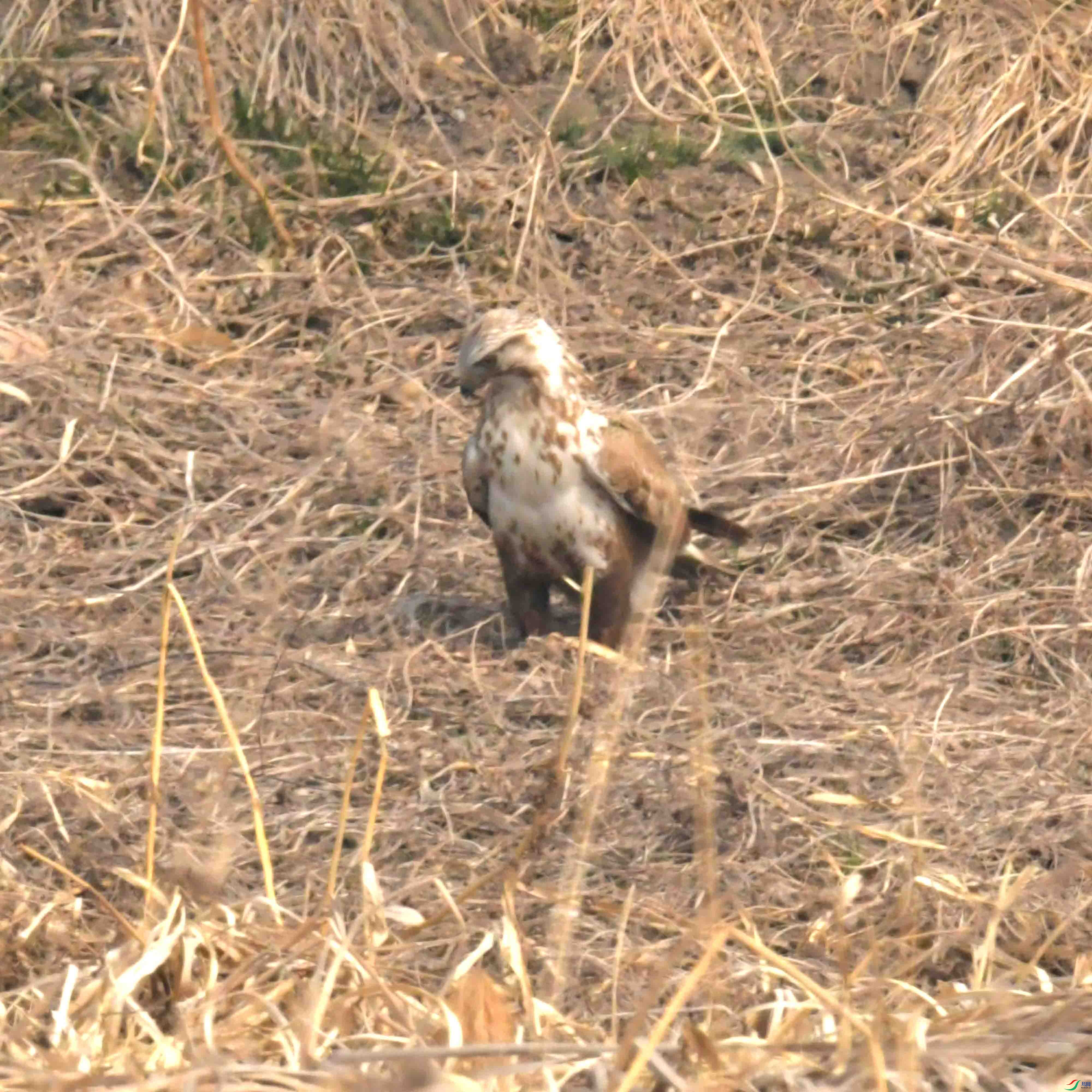 DSC_2208.JPG