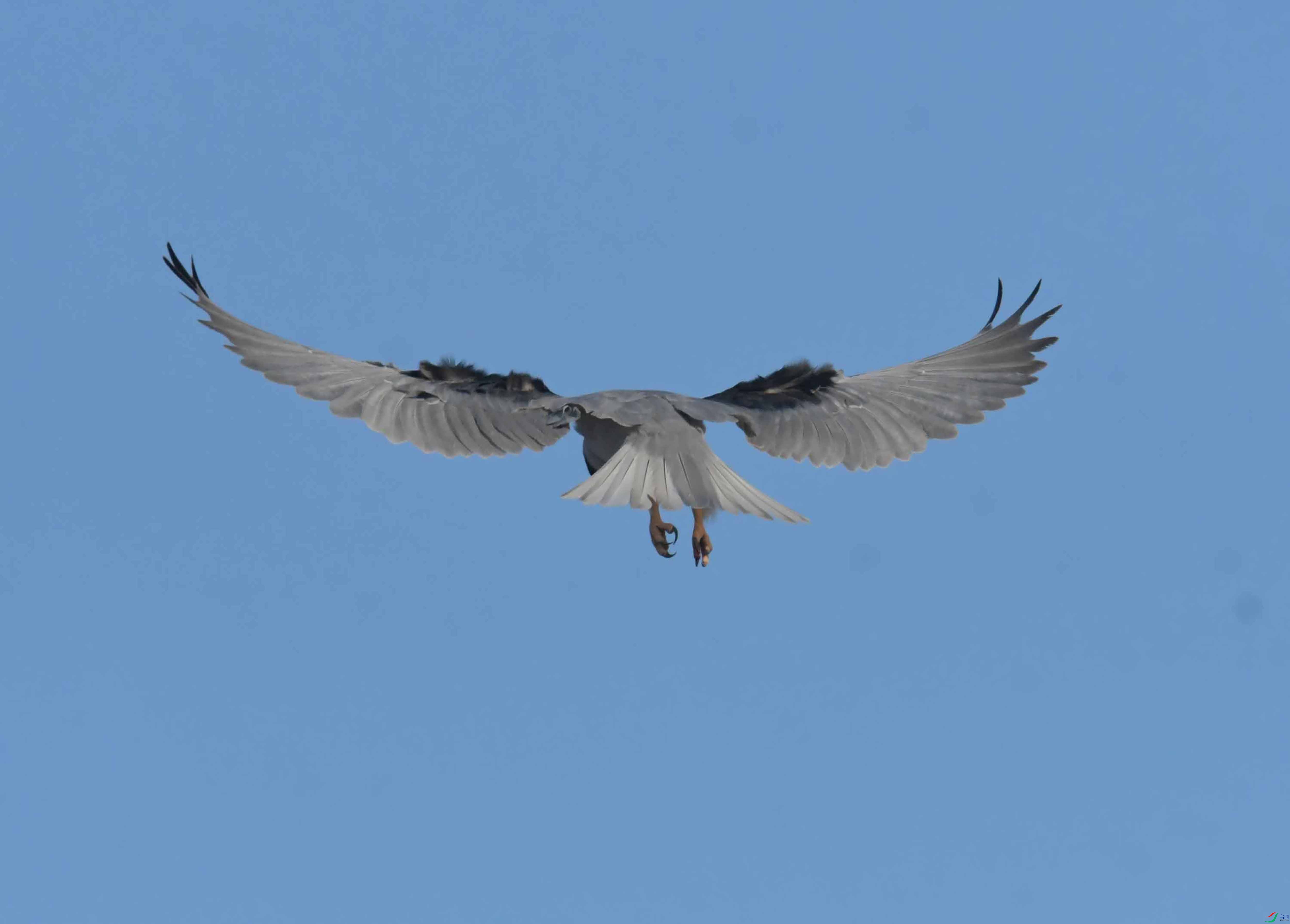 DSC_0480.JPG