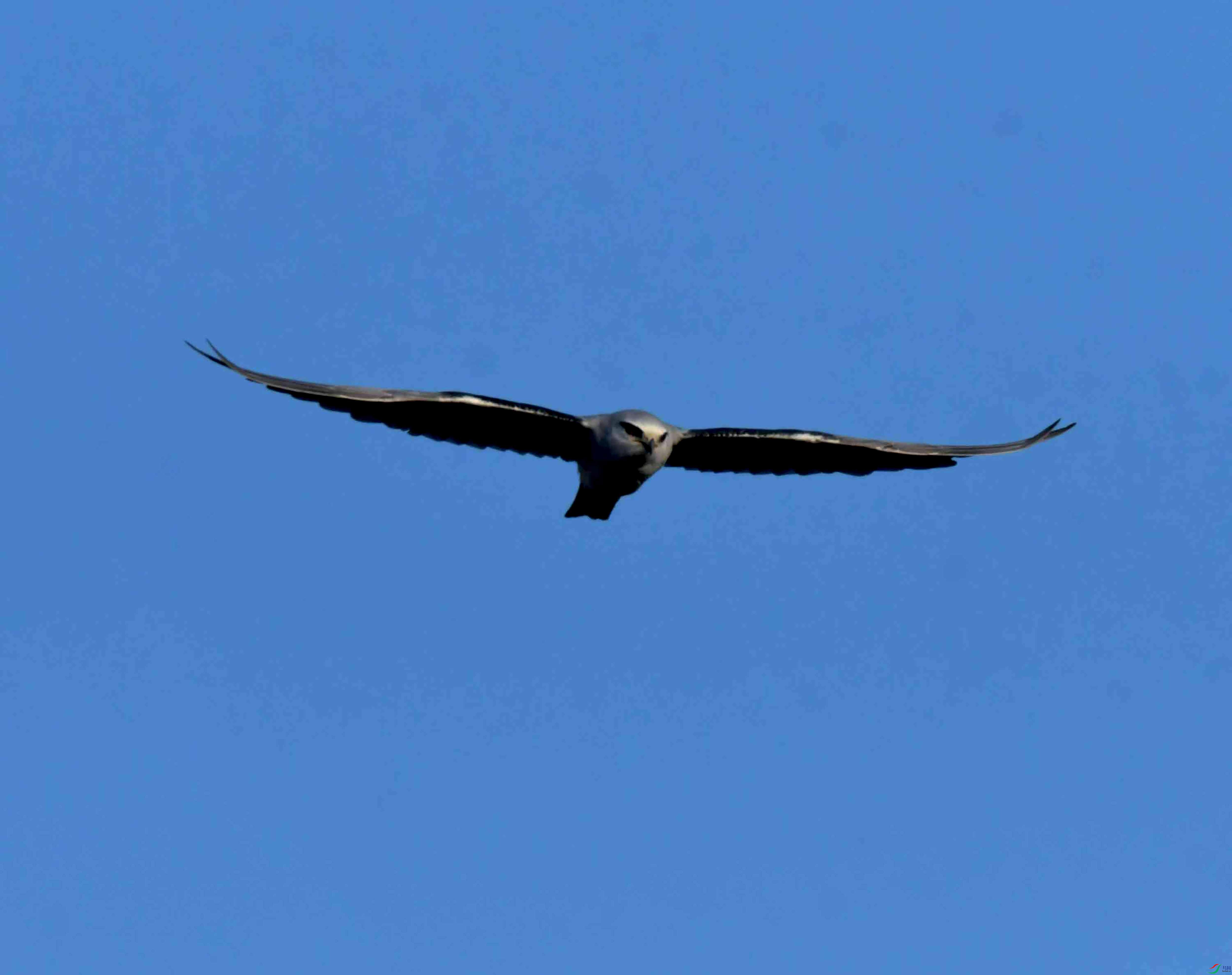 DSC_0477.JPG