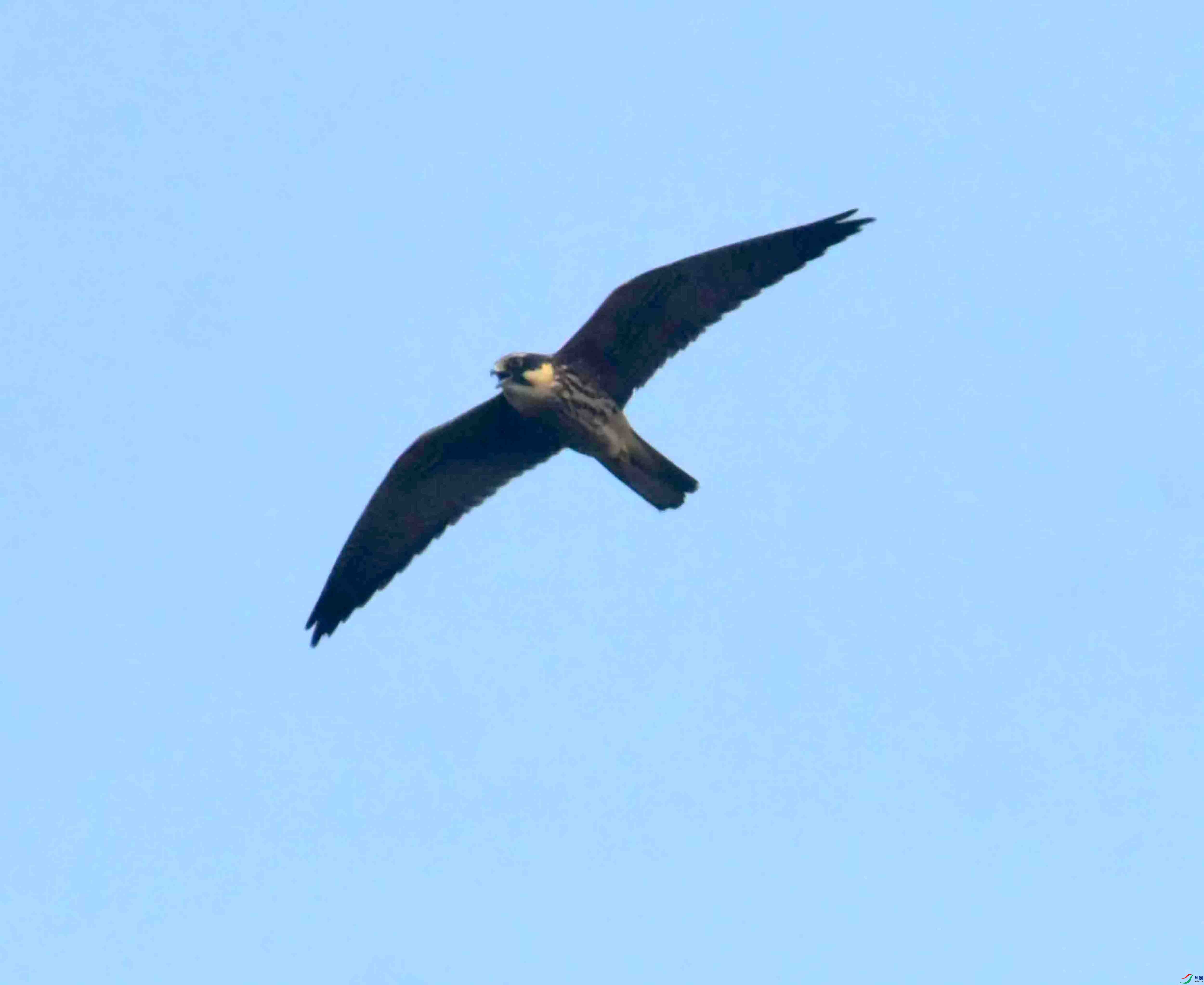 DSC_6875.JPG