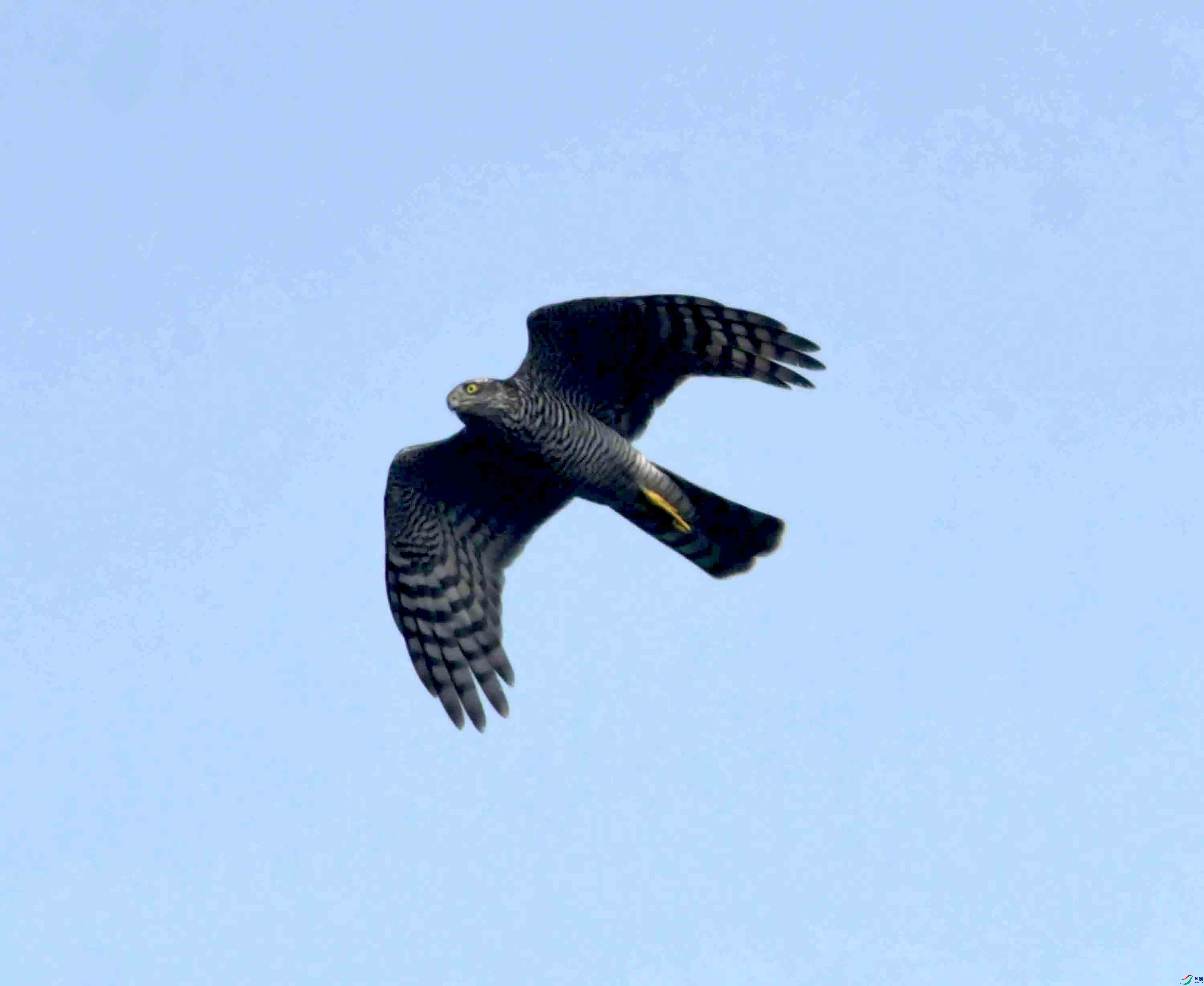 DSC_6881.JPG