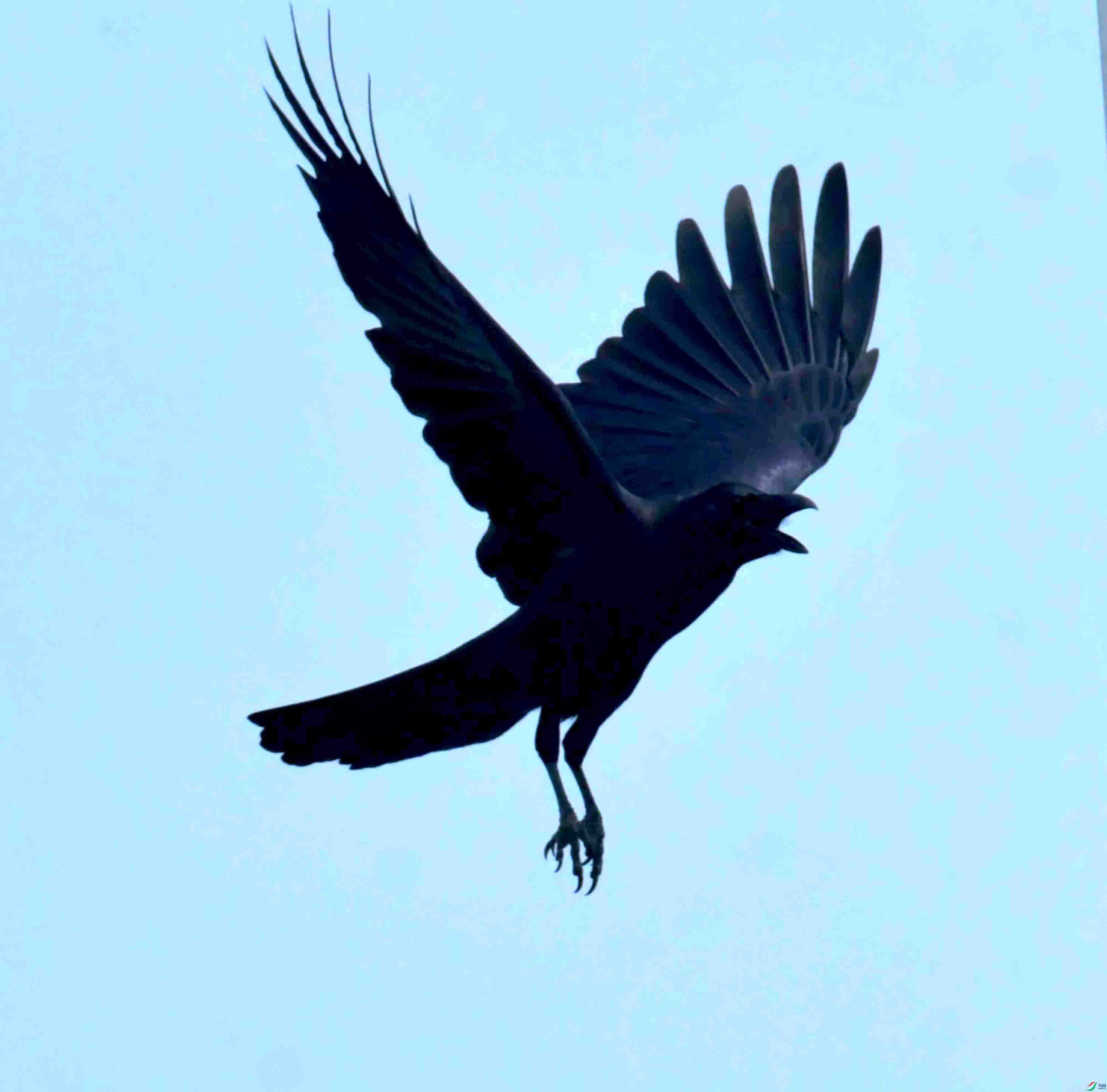 DSC_6886.JPG