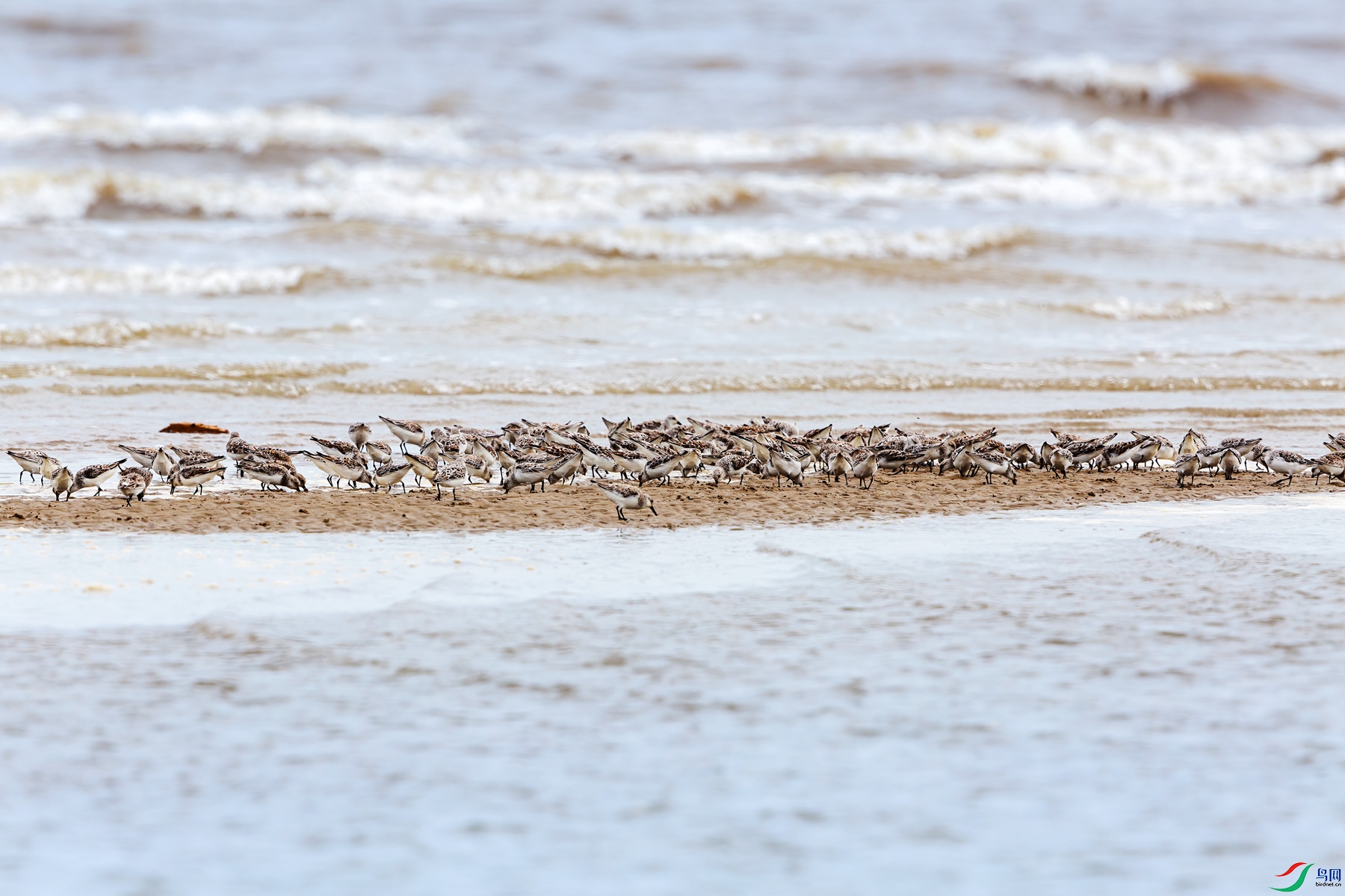 YB0A9843 ����_����.jpg