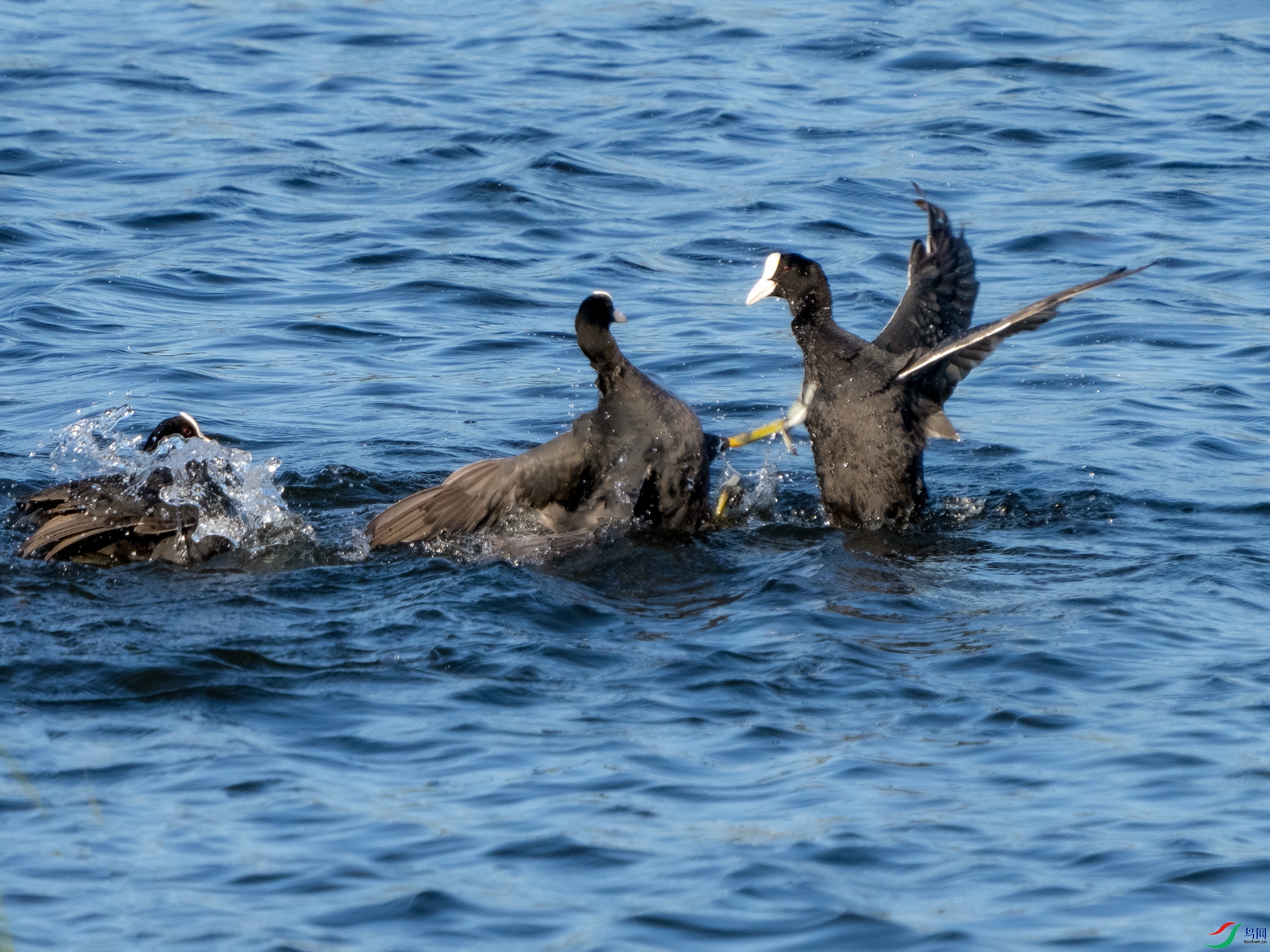 _DSC1738 ����.jpg