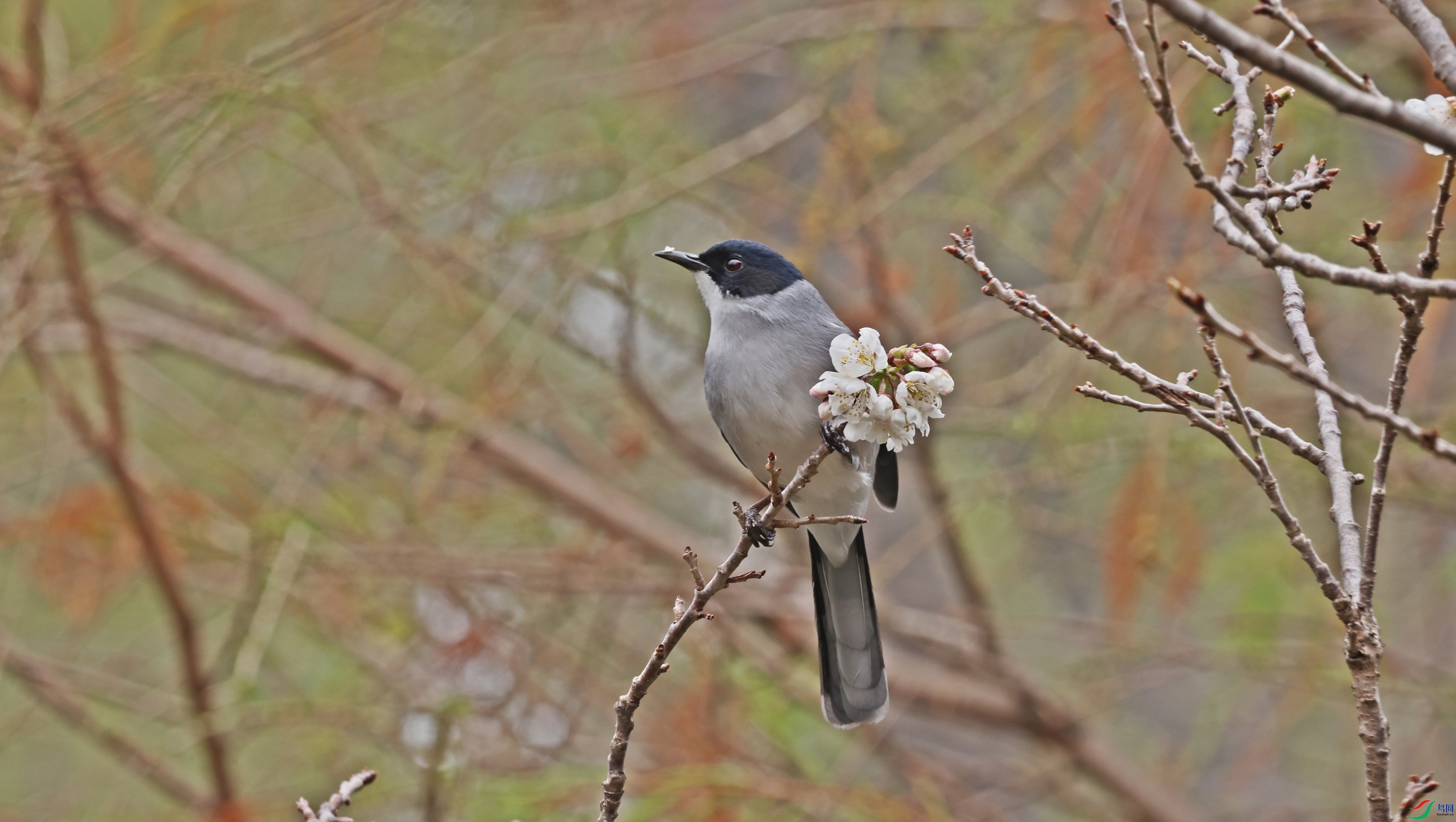 2F6A6390_����.jpg