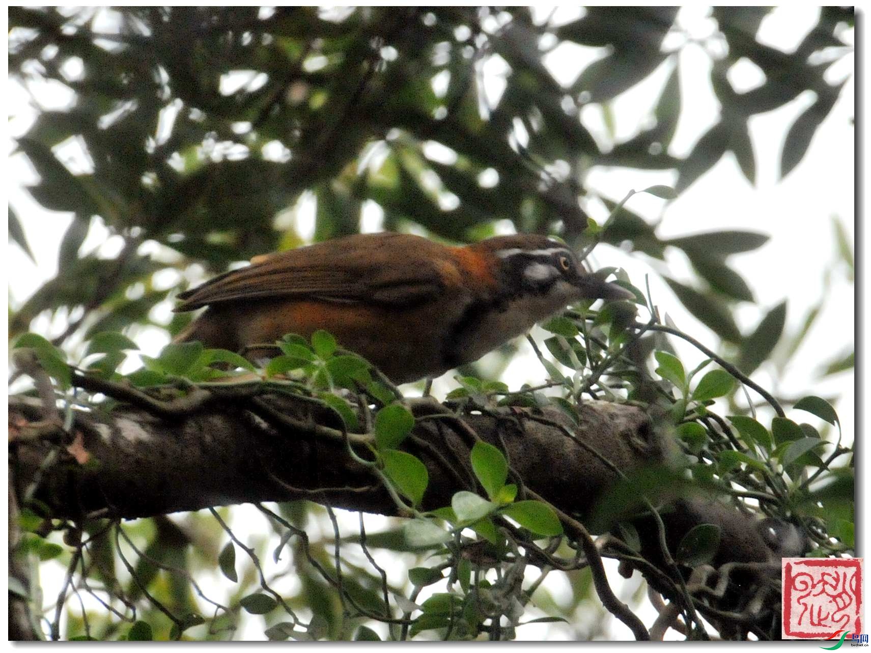 ���ҽѣ��S·��