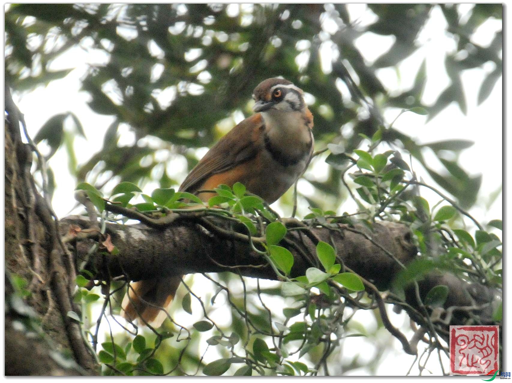 ��Ƭ 047_����_����.jpg