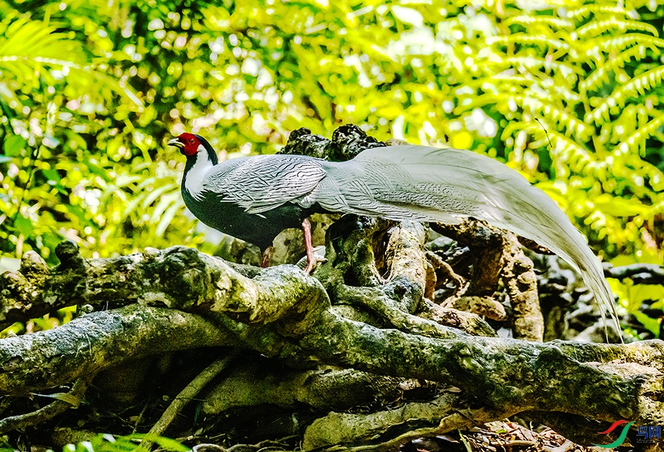 DSC_2076.jpg