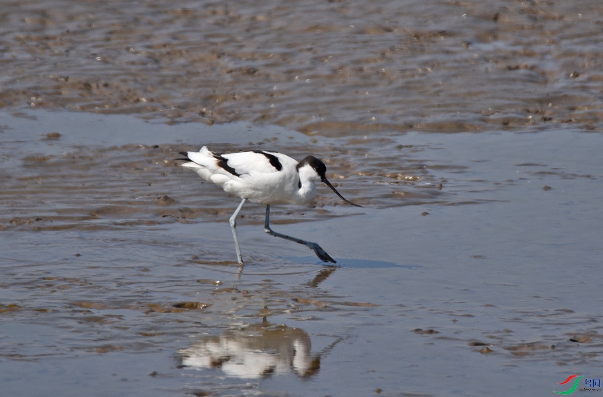 DSC_6571��ʳ.jpg