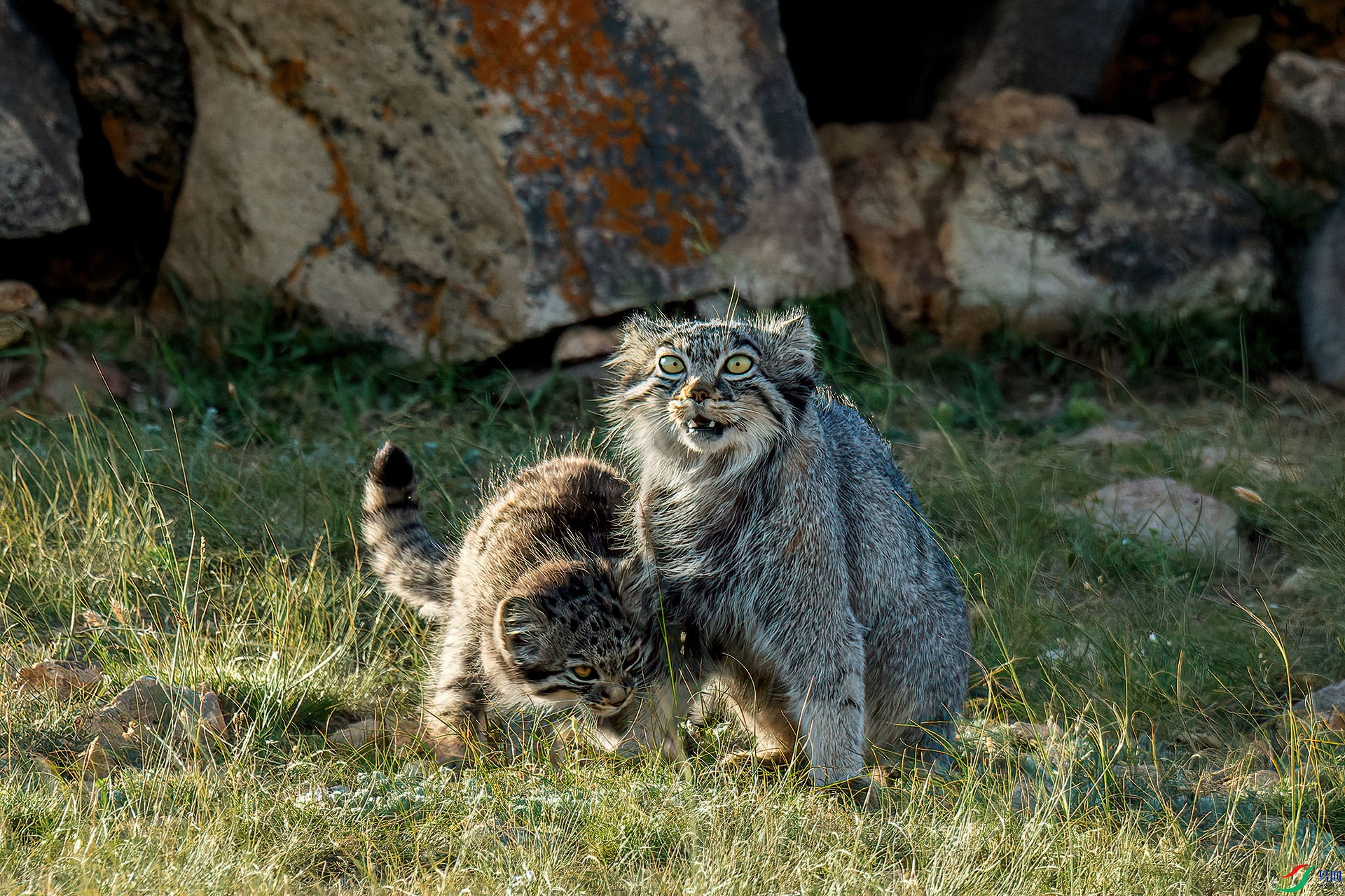 _DSC5710-NEF_DxO_DeepPRIME.jpg