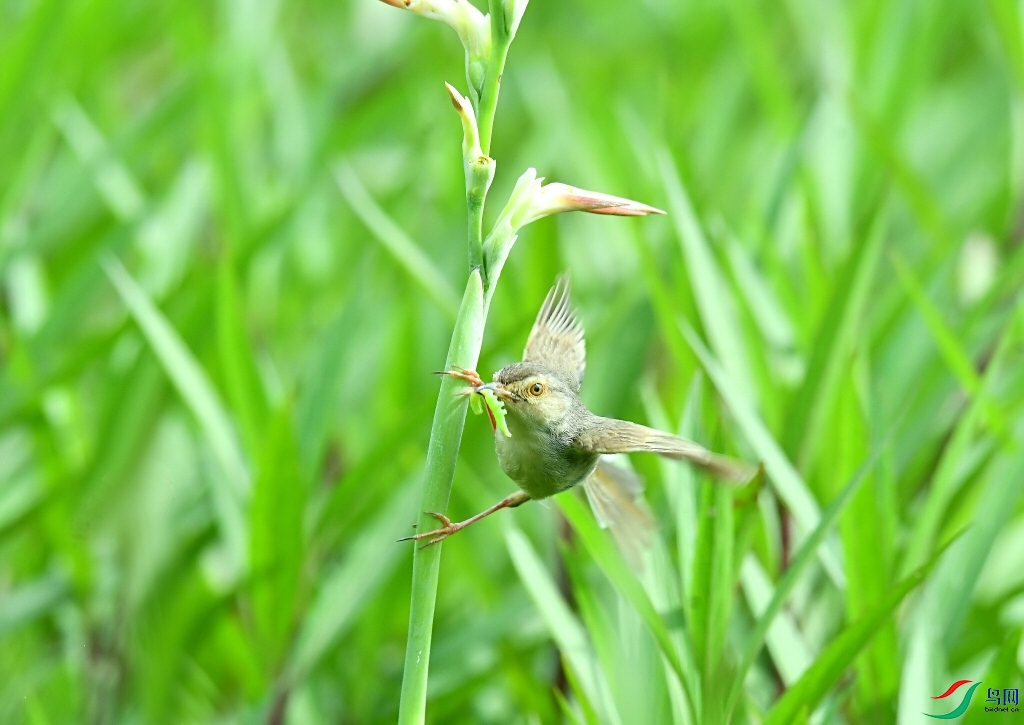 DSC_3436.jpg