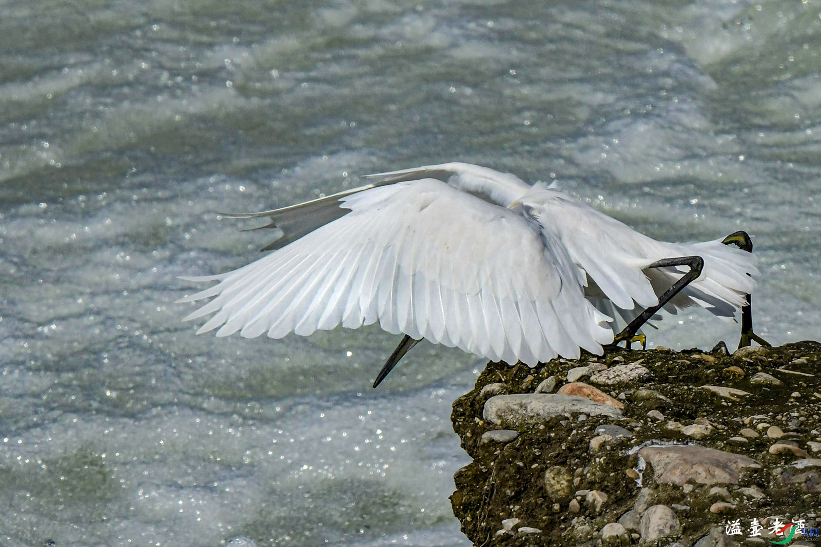 DSC_5752.jpg
